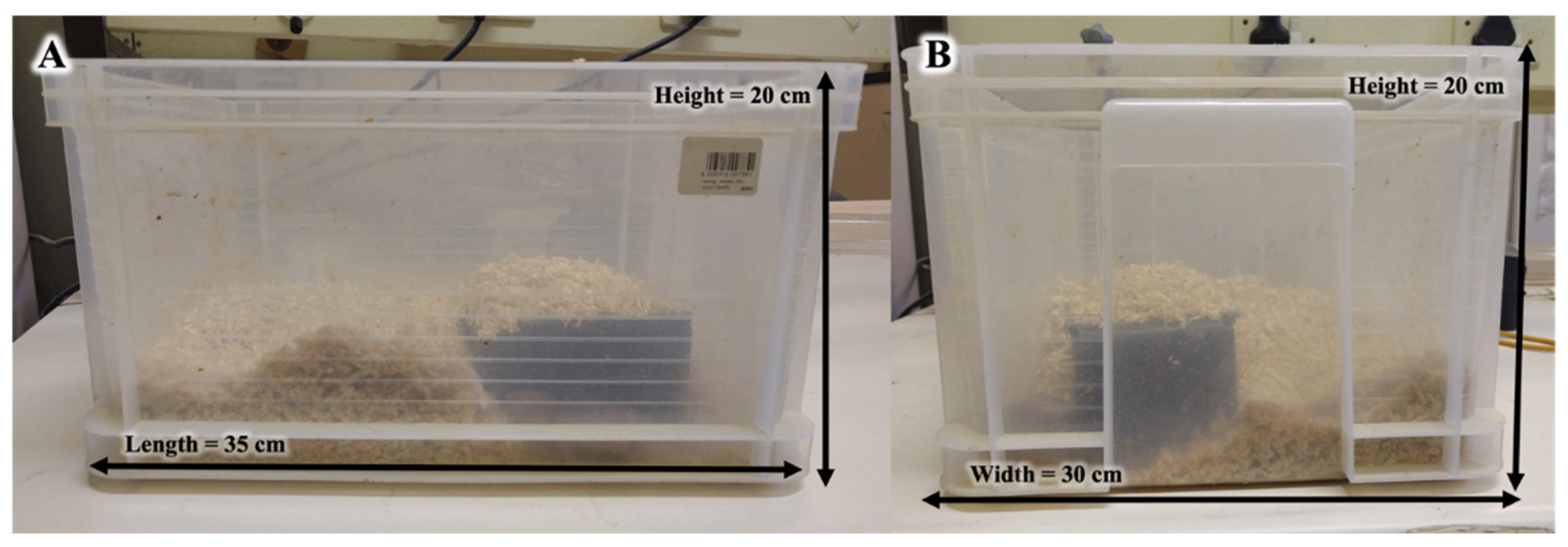 Animals 13 01424 g001