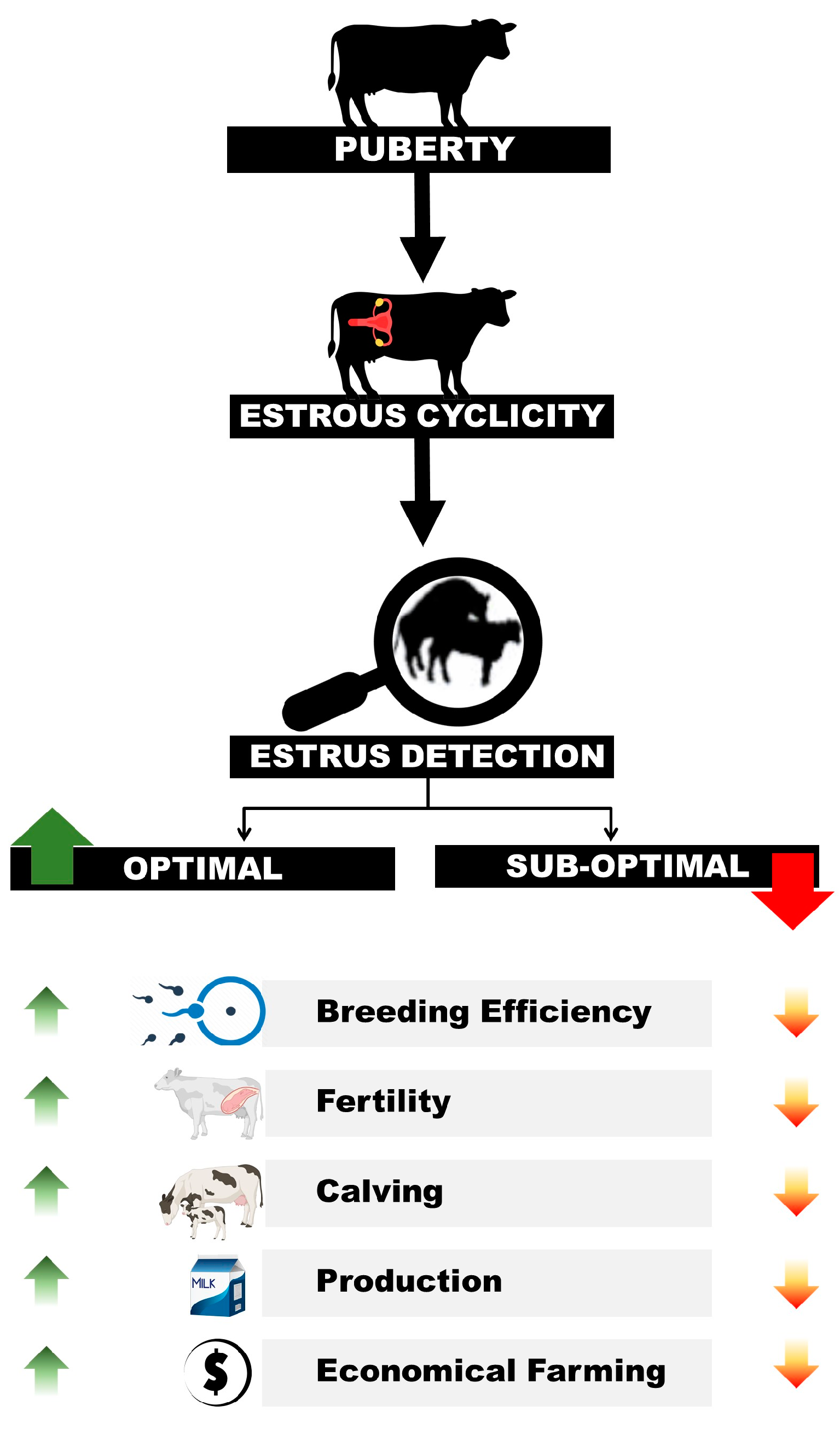 Animals 13 01425 g001 Animals 13 01425 g001