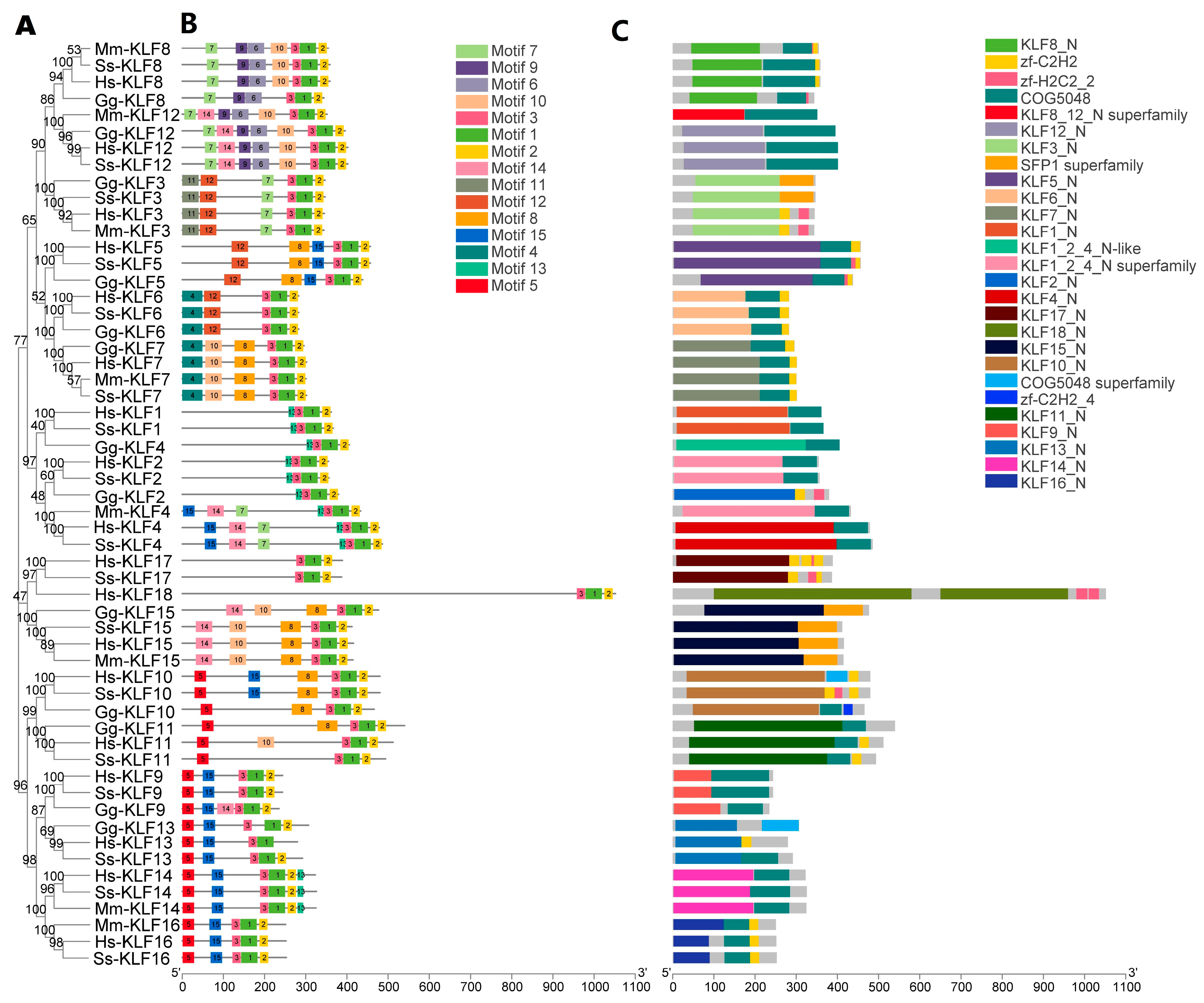 Animals 13 01429 g003 Animals 13 01429 g003