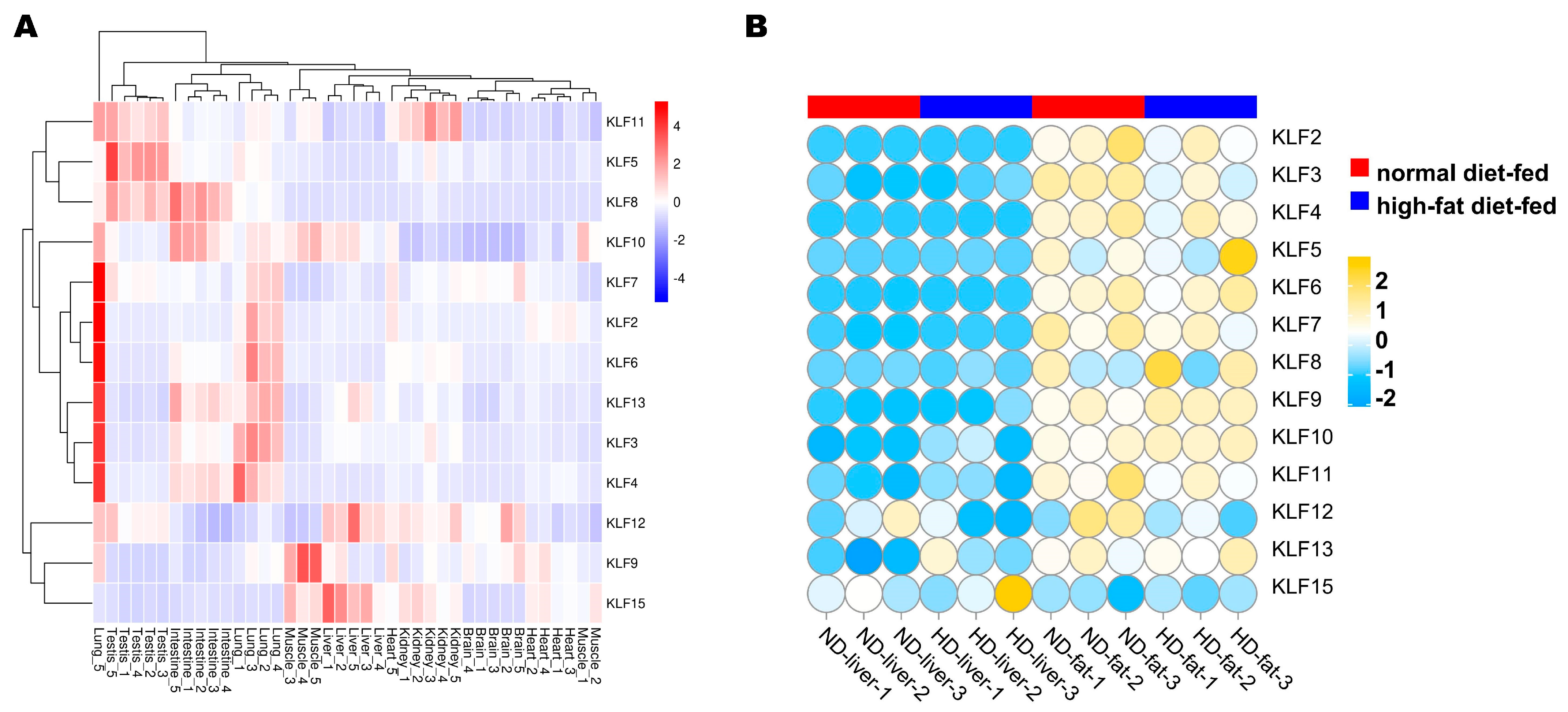 Animals 13 01429 g006 Animals 13 01429 g006