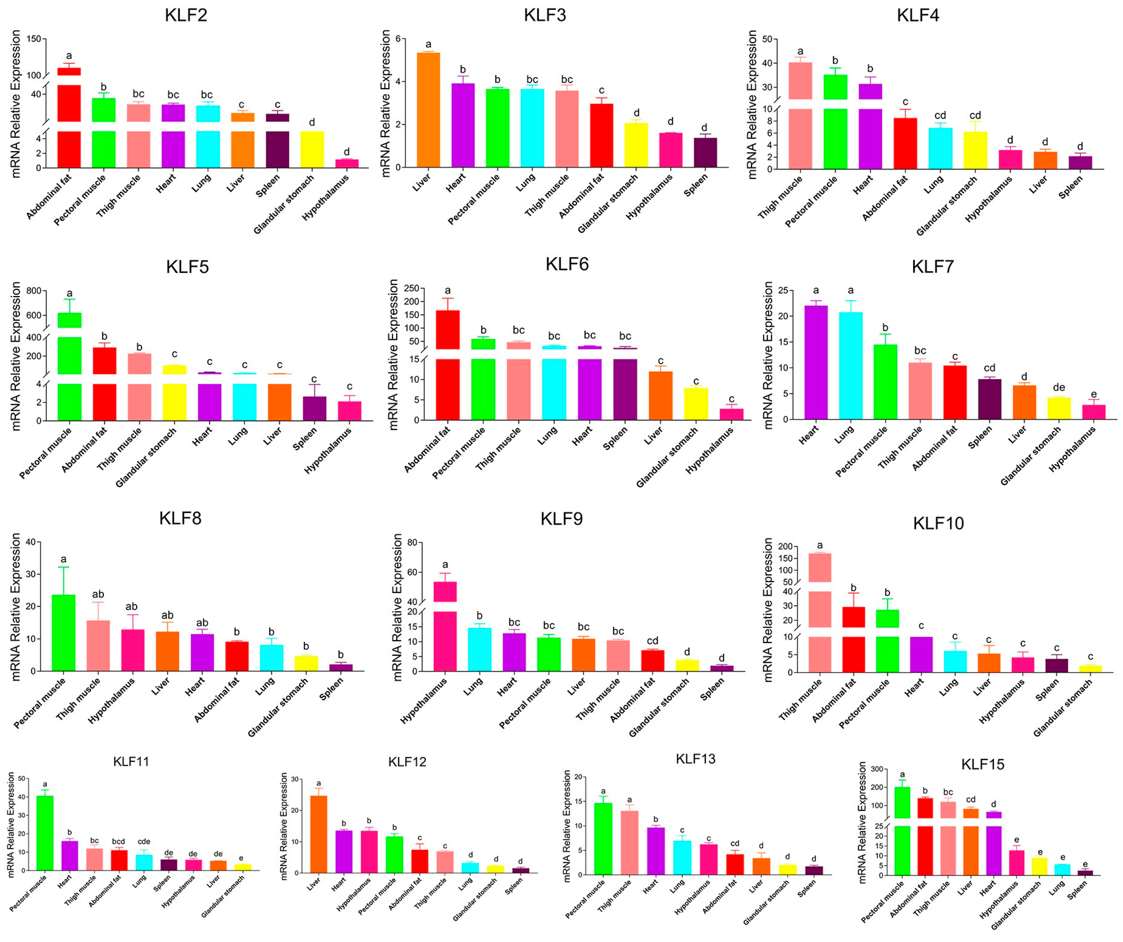 Animals 13 01429 g007 Animals 13 01429 g007