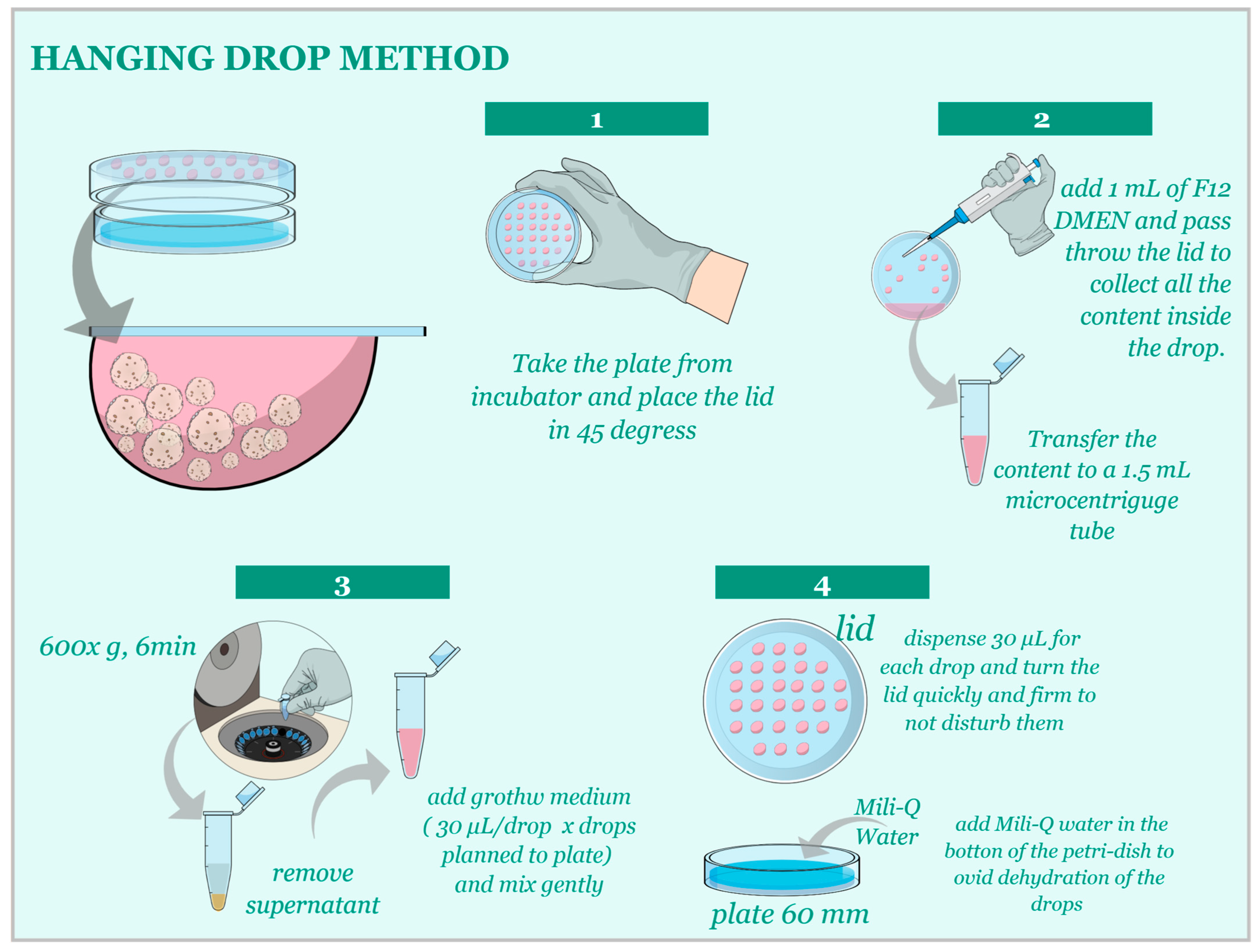 Animals 13 01435 g003 Animals 13 01435 g003