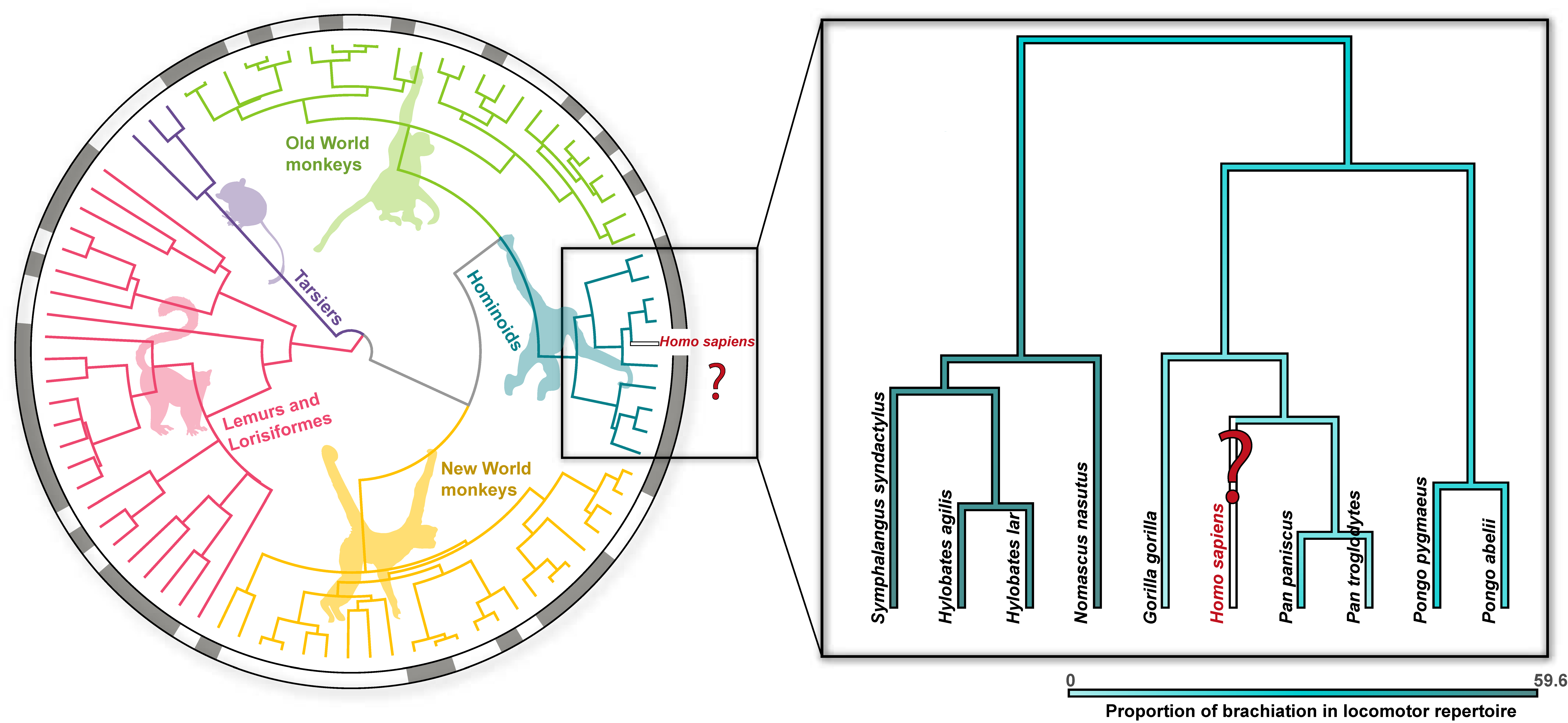 Animals 13 01438 g001 Animals 13 01438 g001