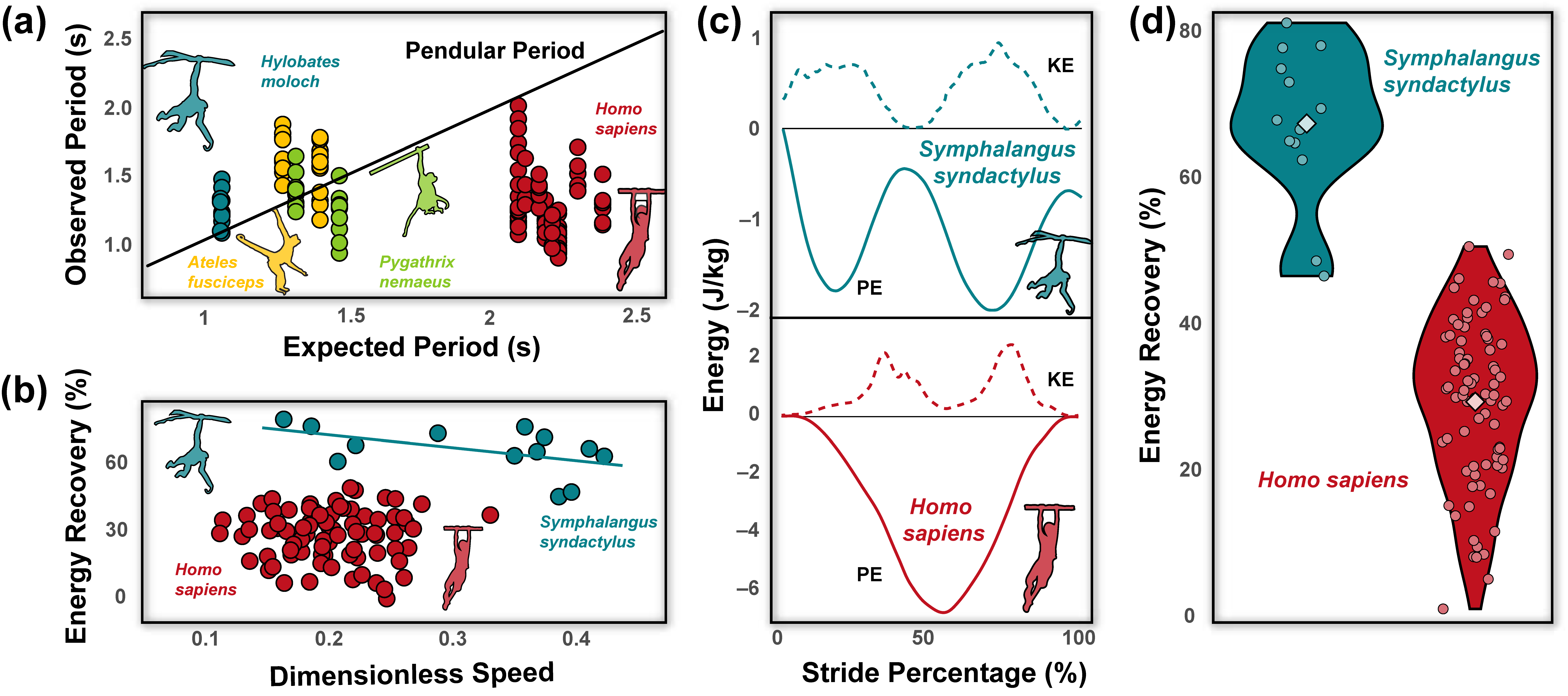 Animals 13 01438 g002 Animals 13 01438 g002