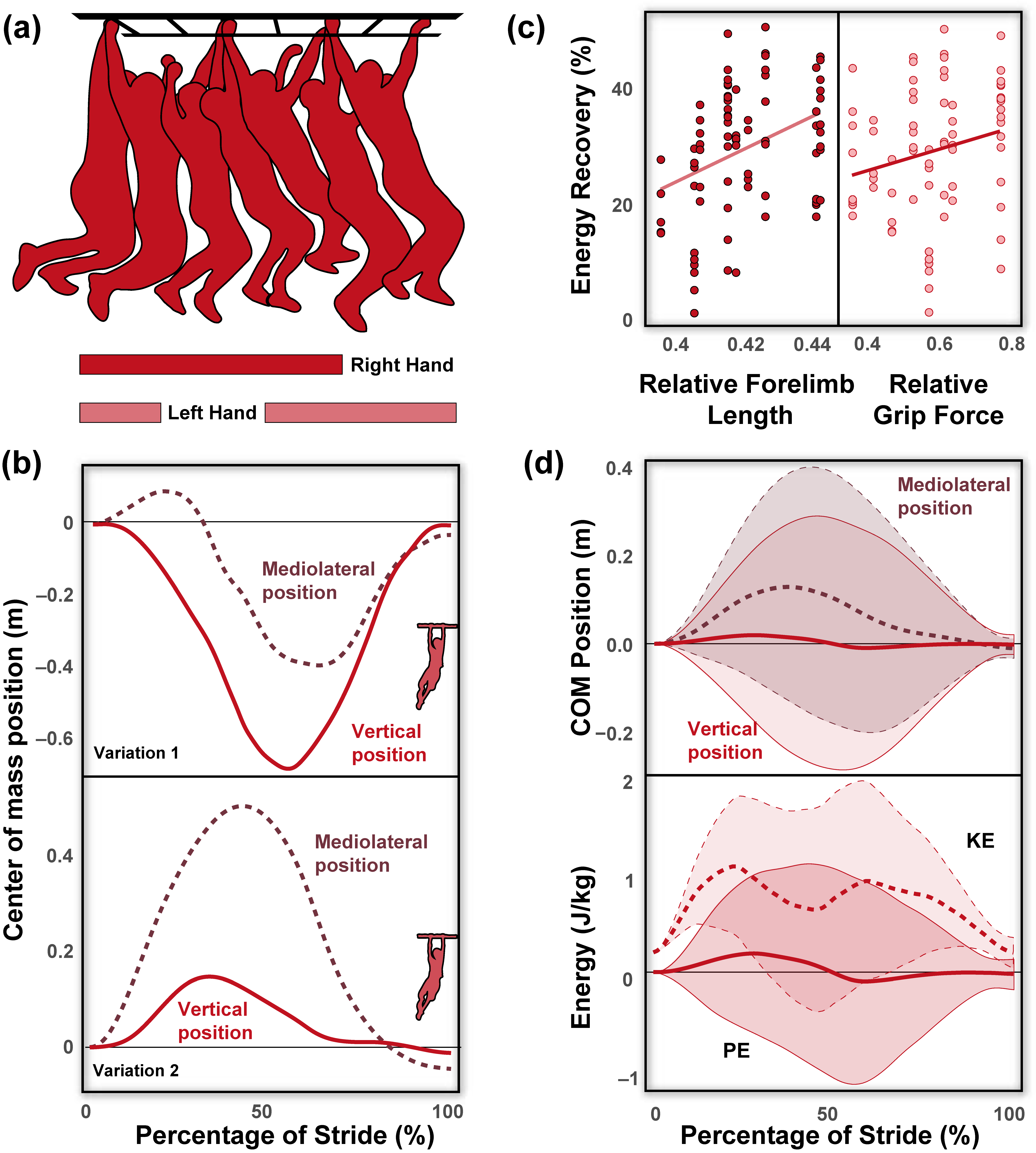 Animals 13 01438 g003 Animals 13 01438 g003