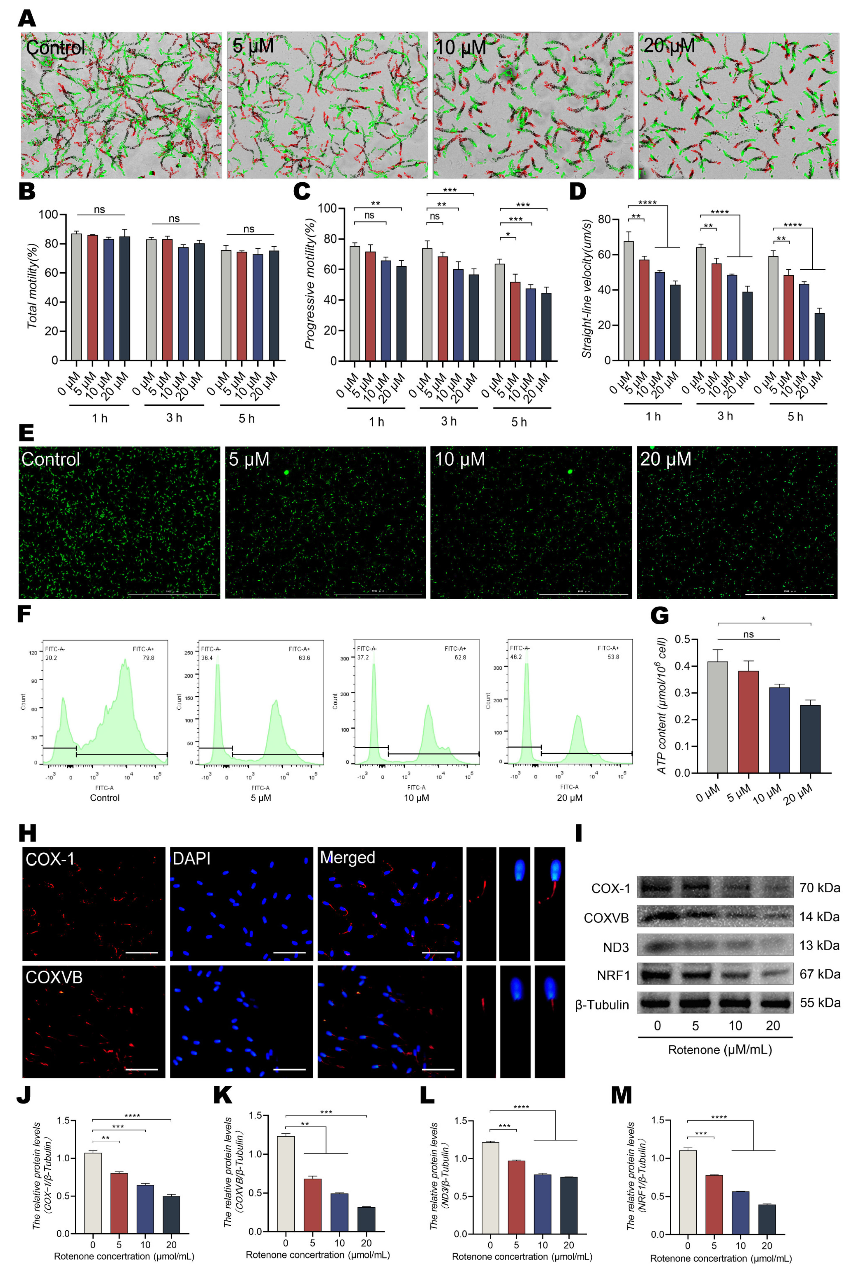 Animals 13 01442 g002 Animals 13 01442 g002