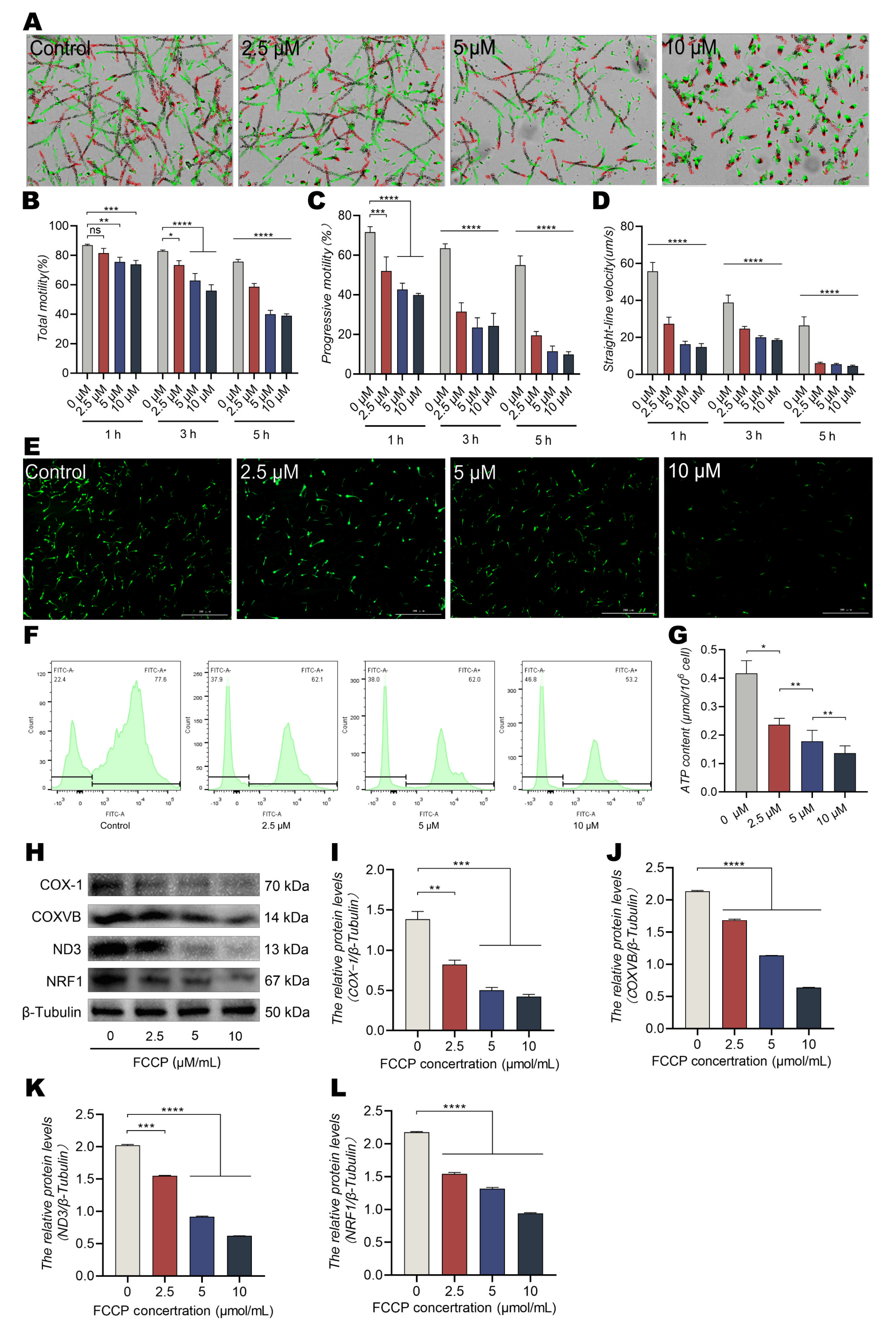 Animals 13 01442 g003 Animals 13 01442 g003