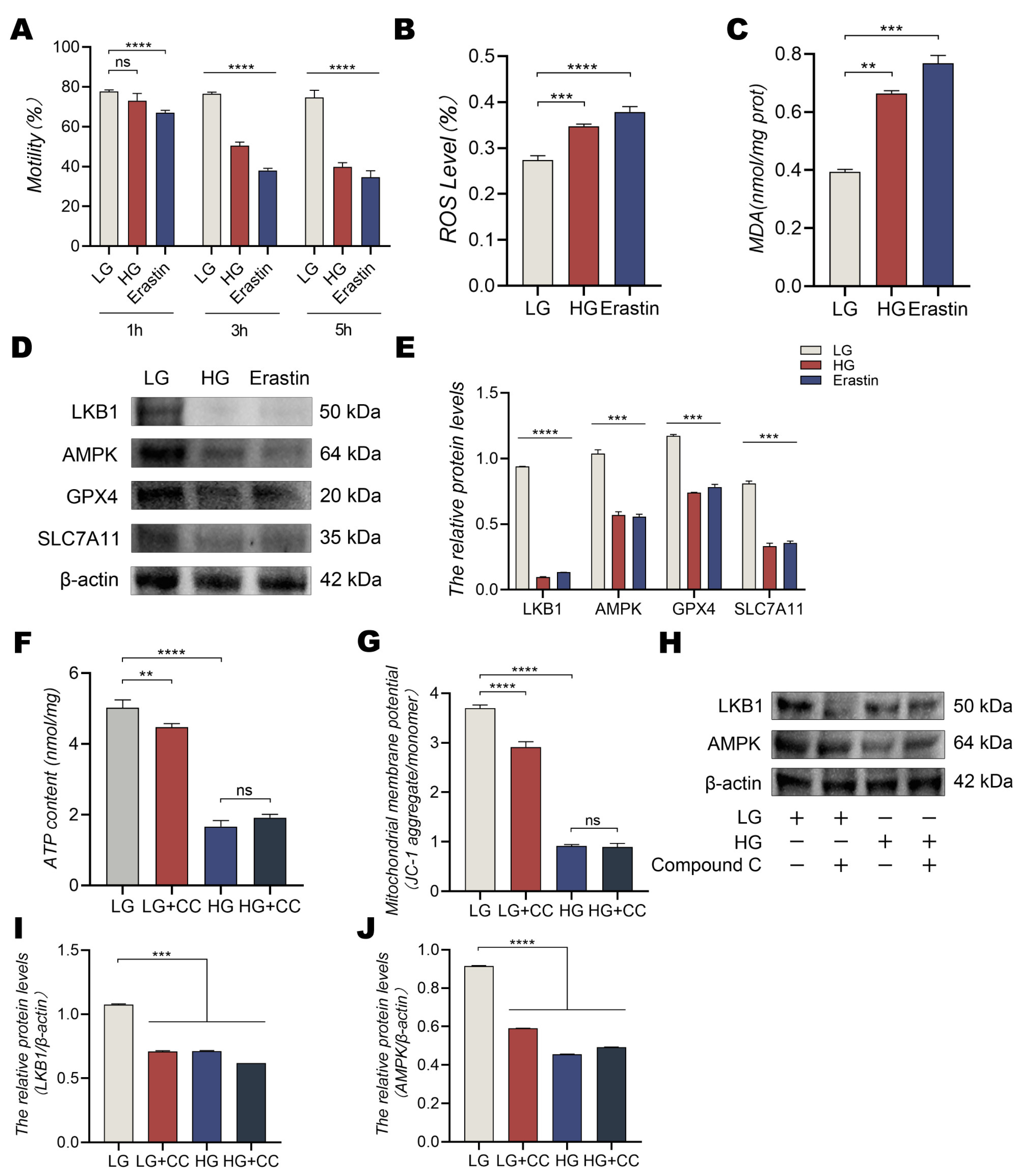 Animals 13 01442 g005 Animals 13 01442 g005