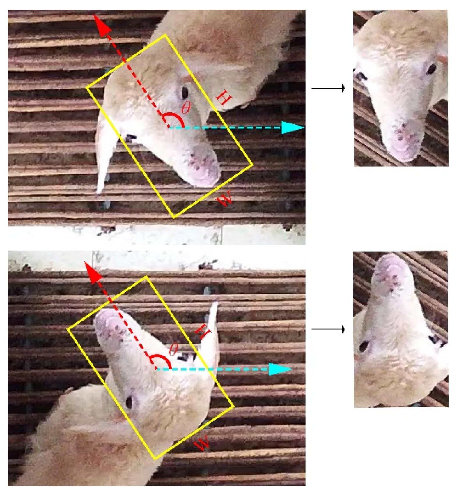 Animals 13 01446 g001 Animals 13 01446 g001