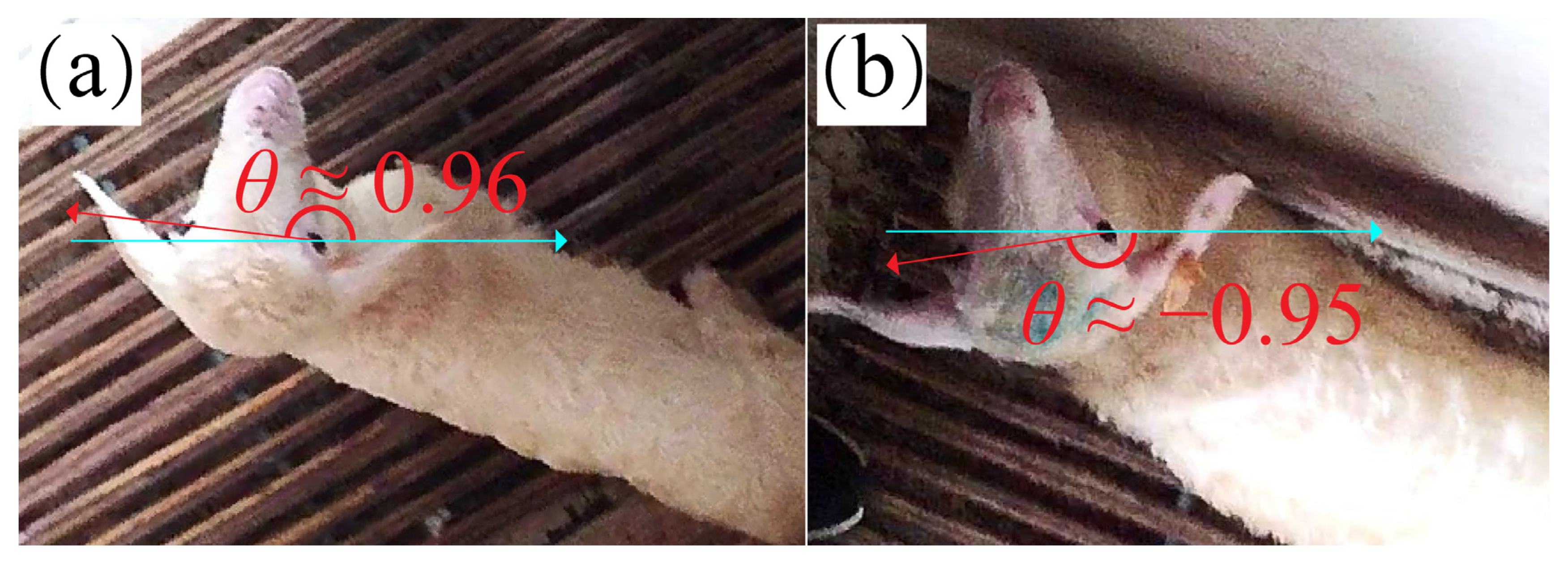 Animals 13 01446 g004 Animals 13 01446 g004