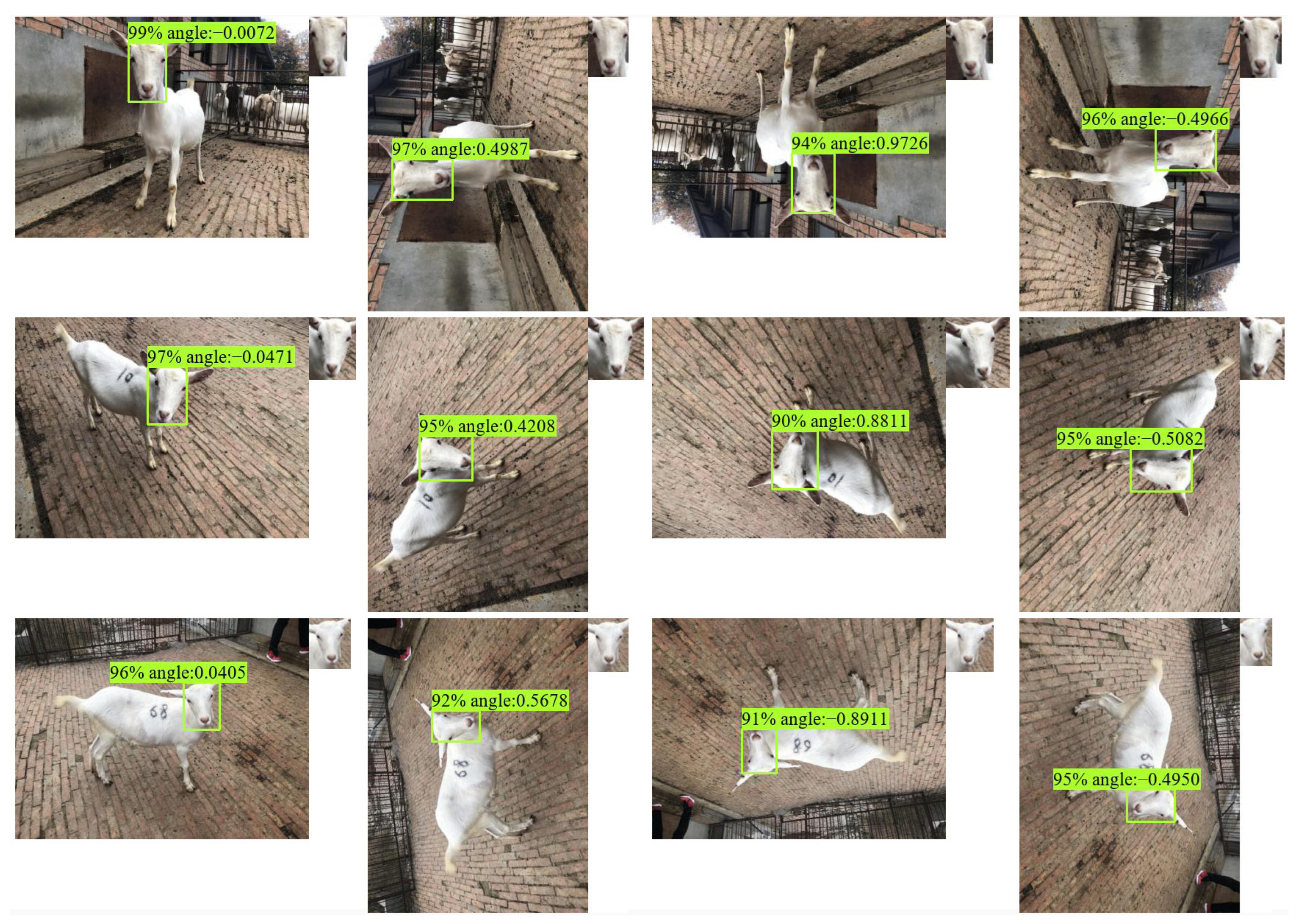 Animals 13 01446 g007 Animals 13 01446 g007