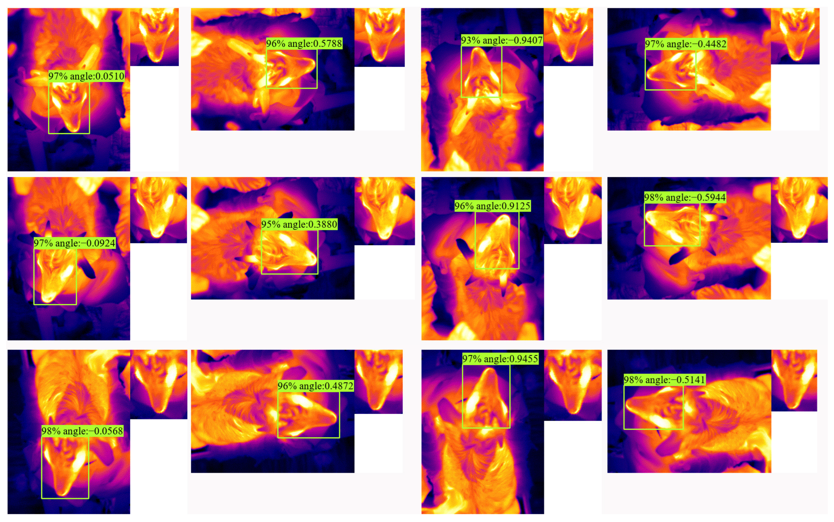 Animals 13 01446 g010 Animals 13 01446 g010