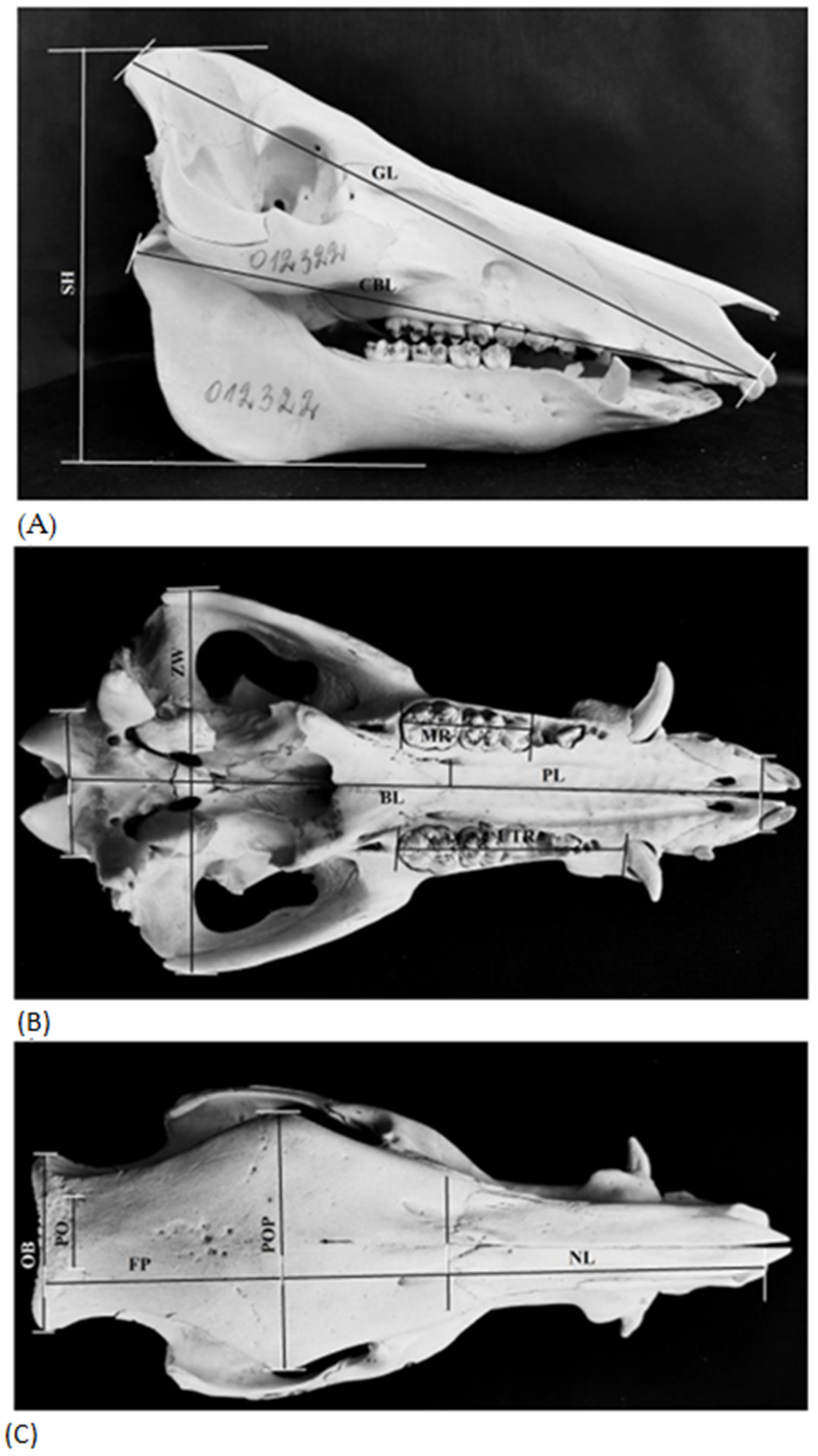 Animals 13 01453 g002