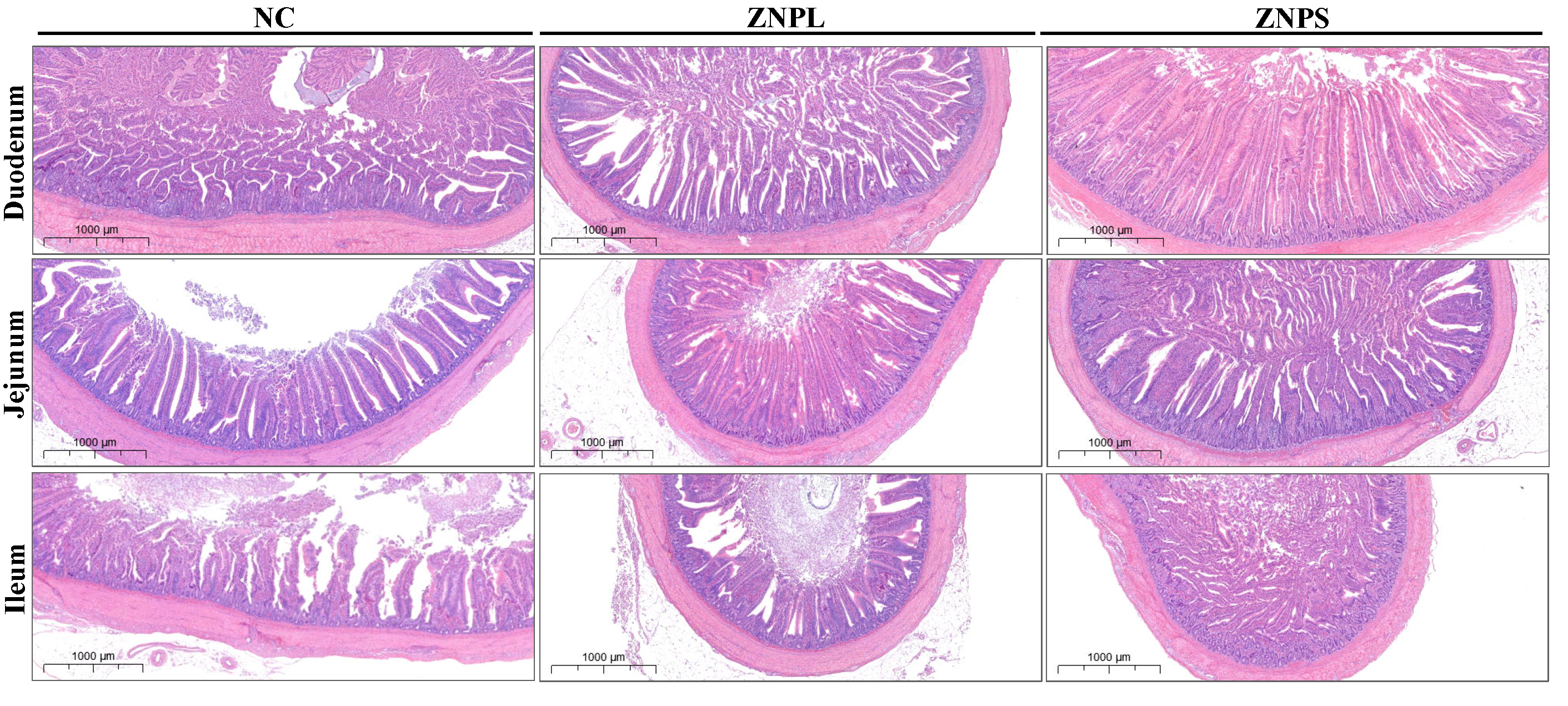 Animals 13 01454 g002