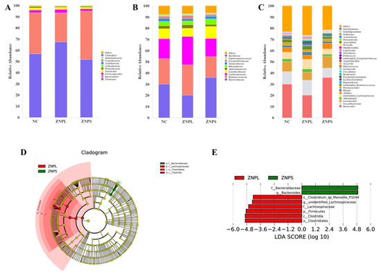 Frontiers  Importance of Zinc Nanoparticles for the Intestinal Microbiome  of Weaned Piglets