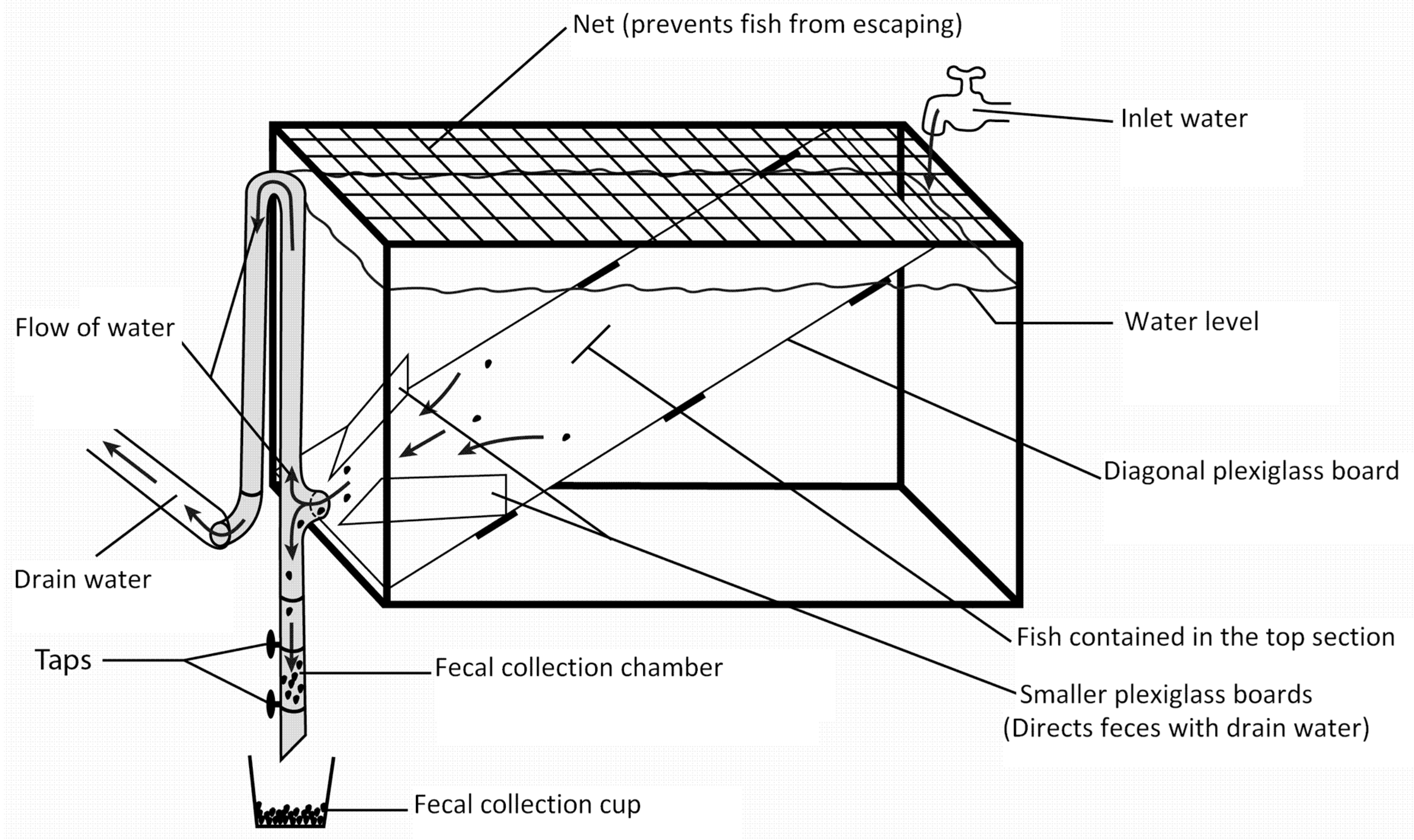 Animals 13 01456 g001