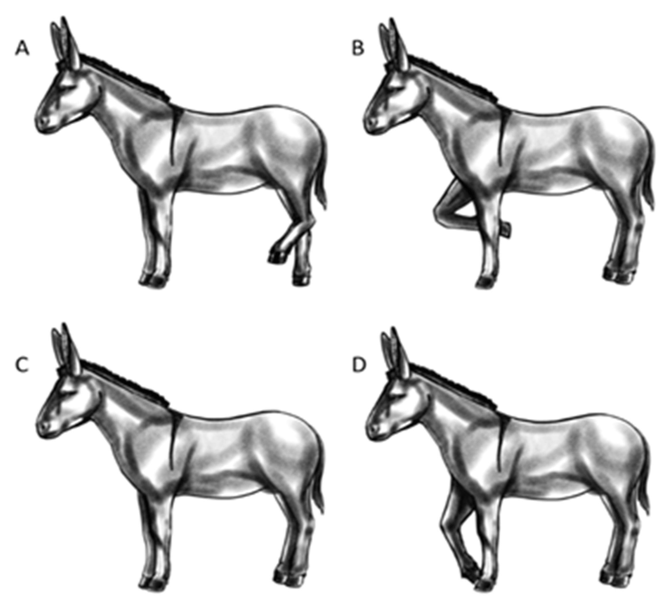 Animals 13 01466 g003 Animals 13 01466 g003