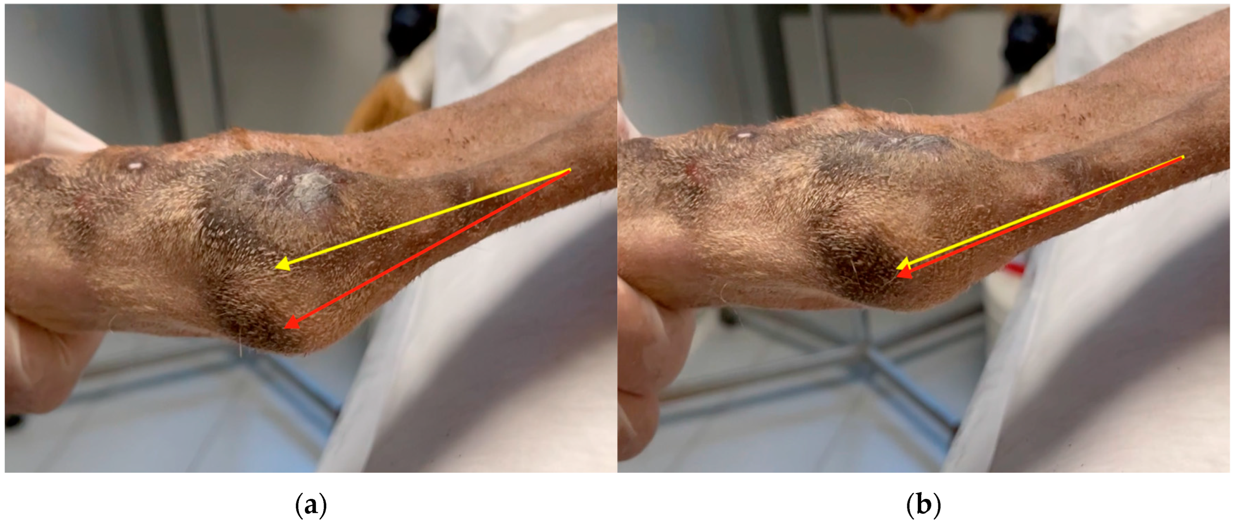 Animals 13 01468 g005 550