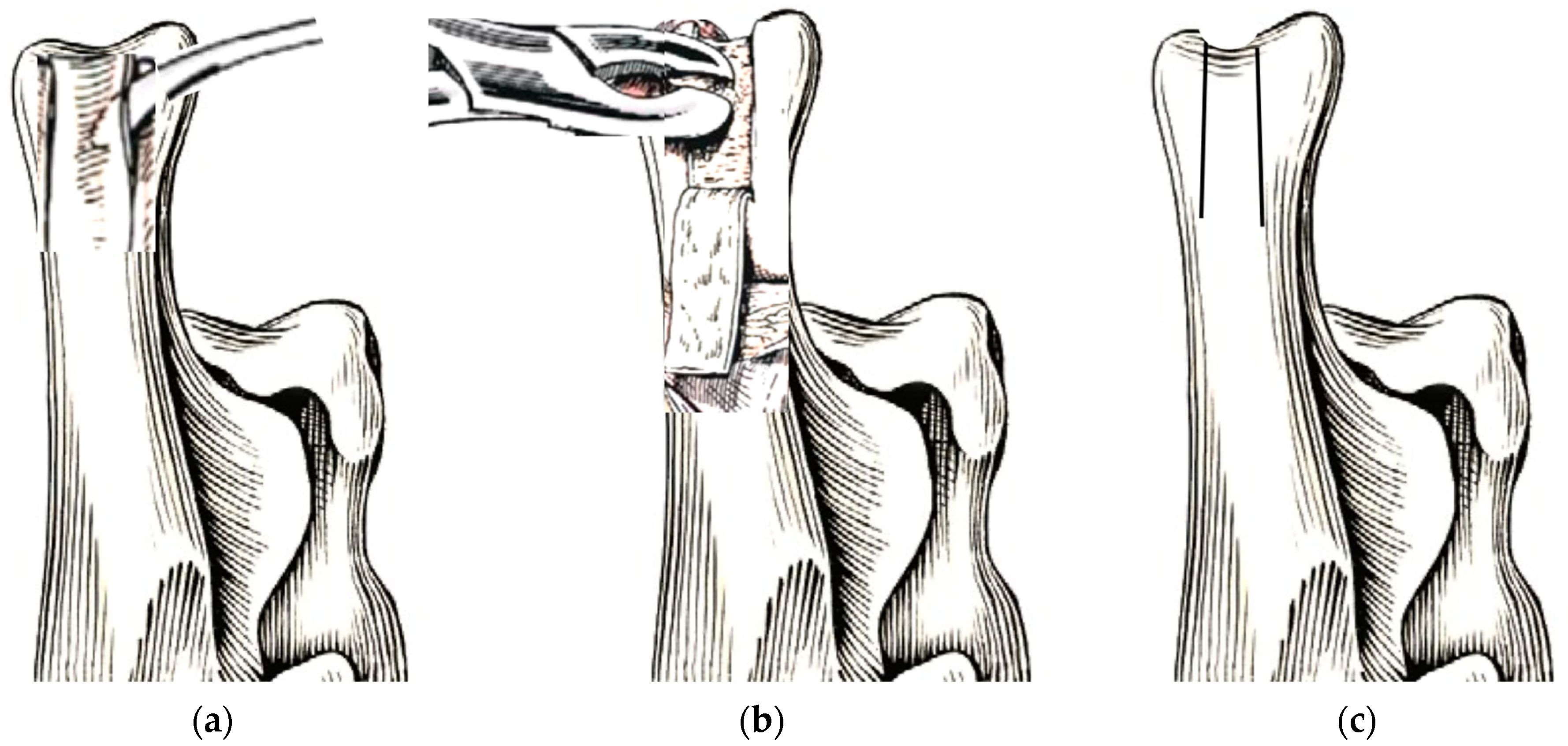 Animals 13 01468 g007 550