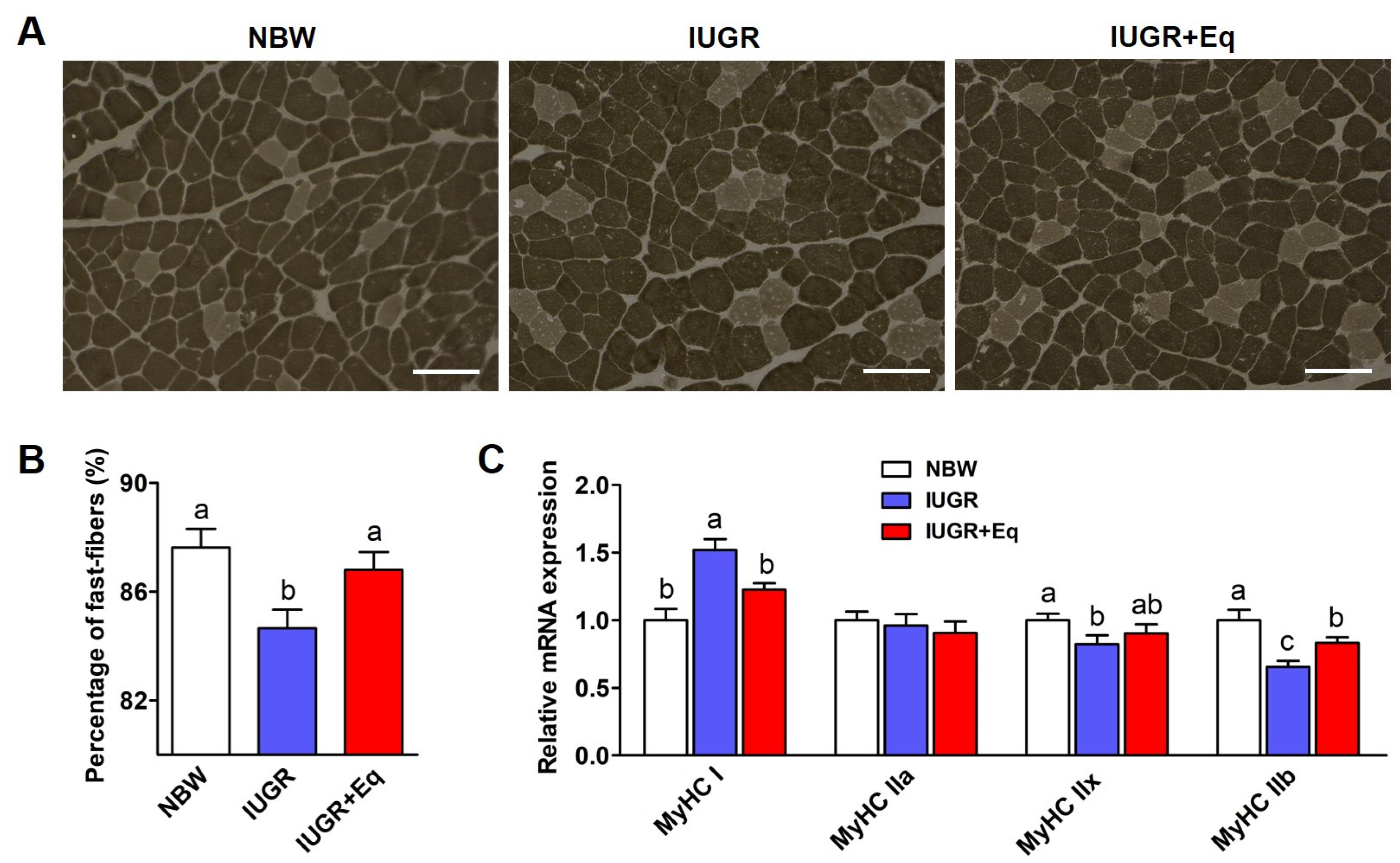 Animals 13 01469 g002