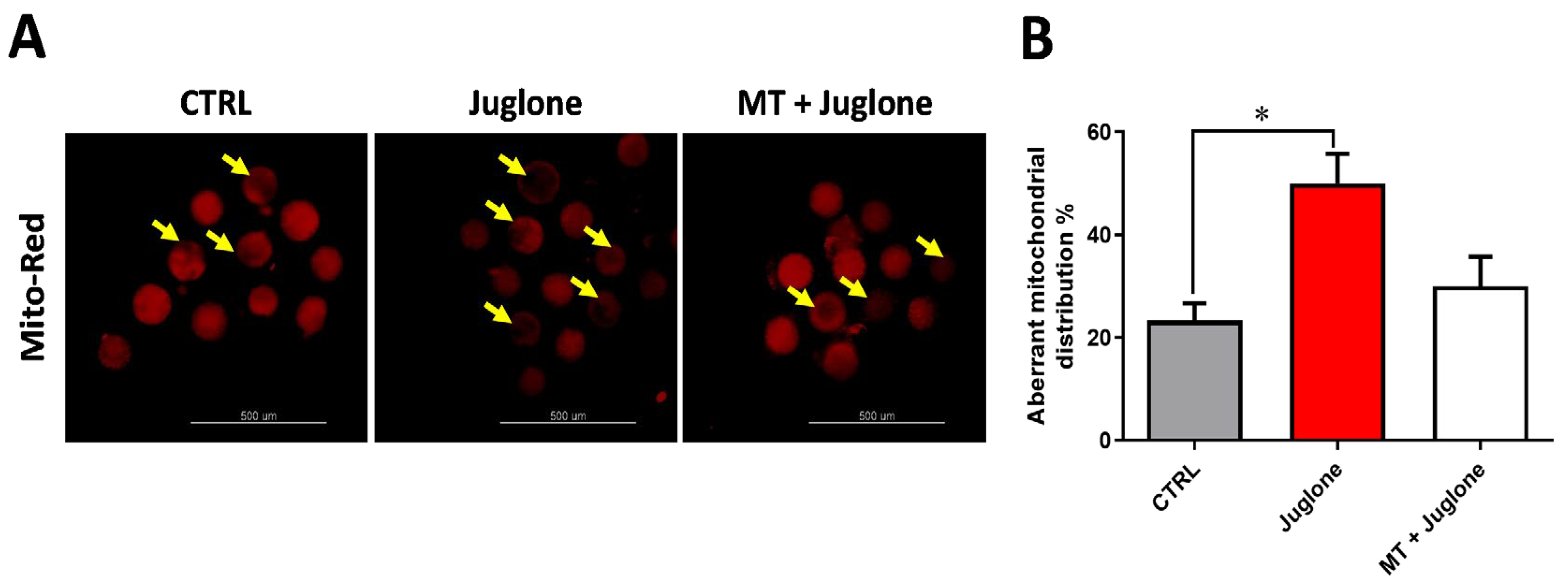Animals 13 01475 g004 Animals 13 01475 g004