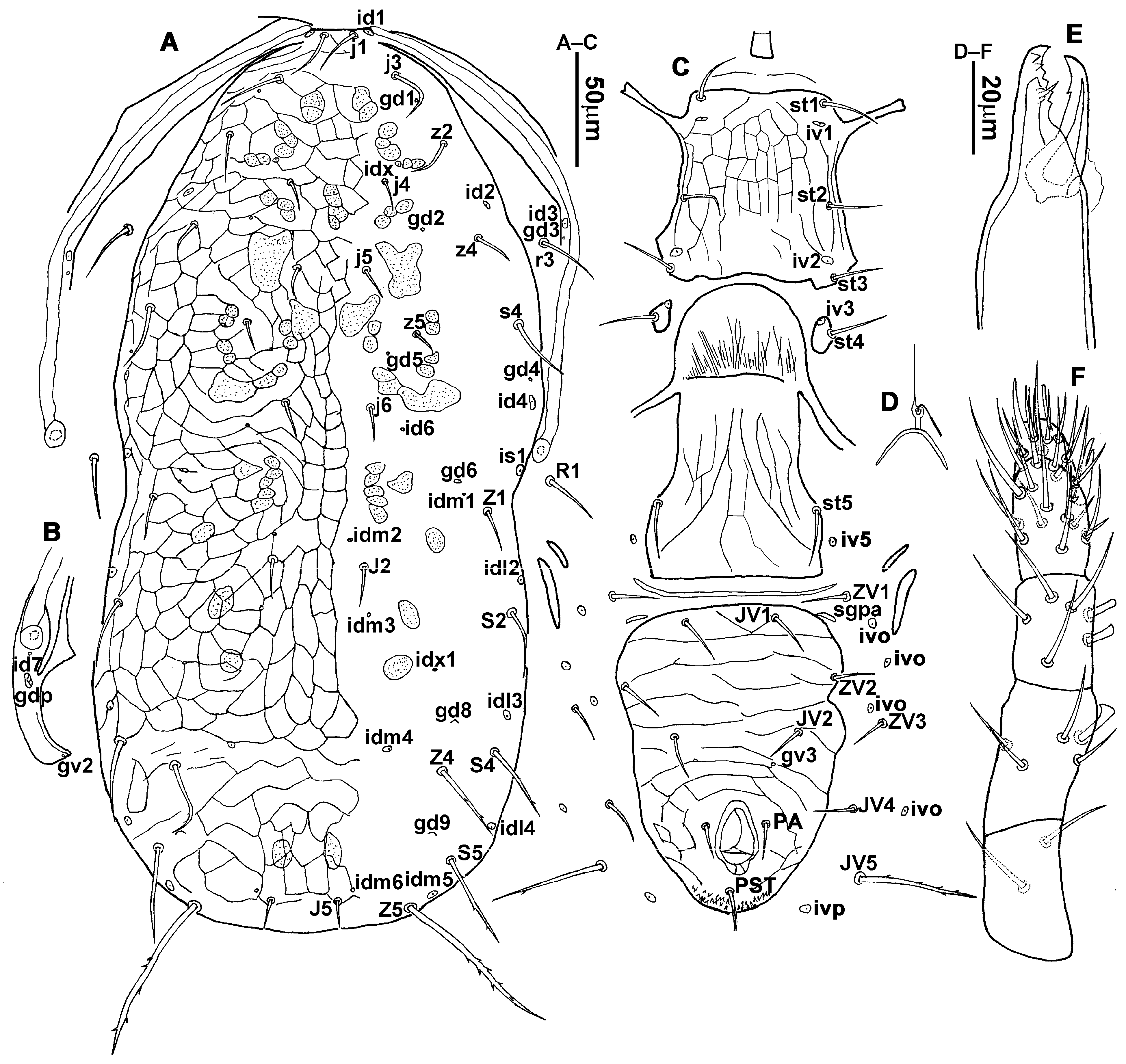 Animals 13 01478 g001 Animals 13 01478 g001