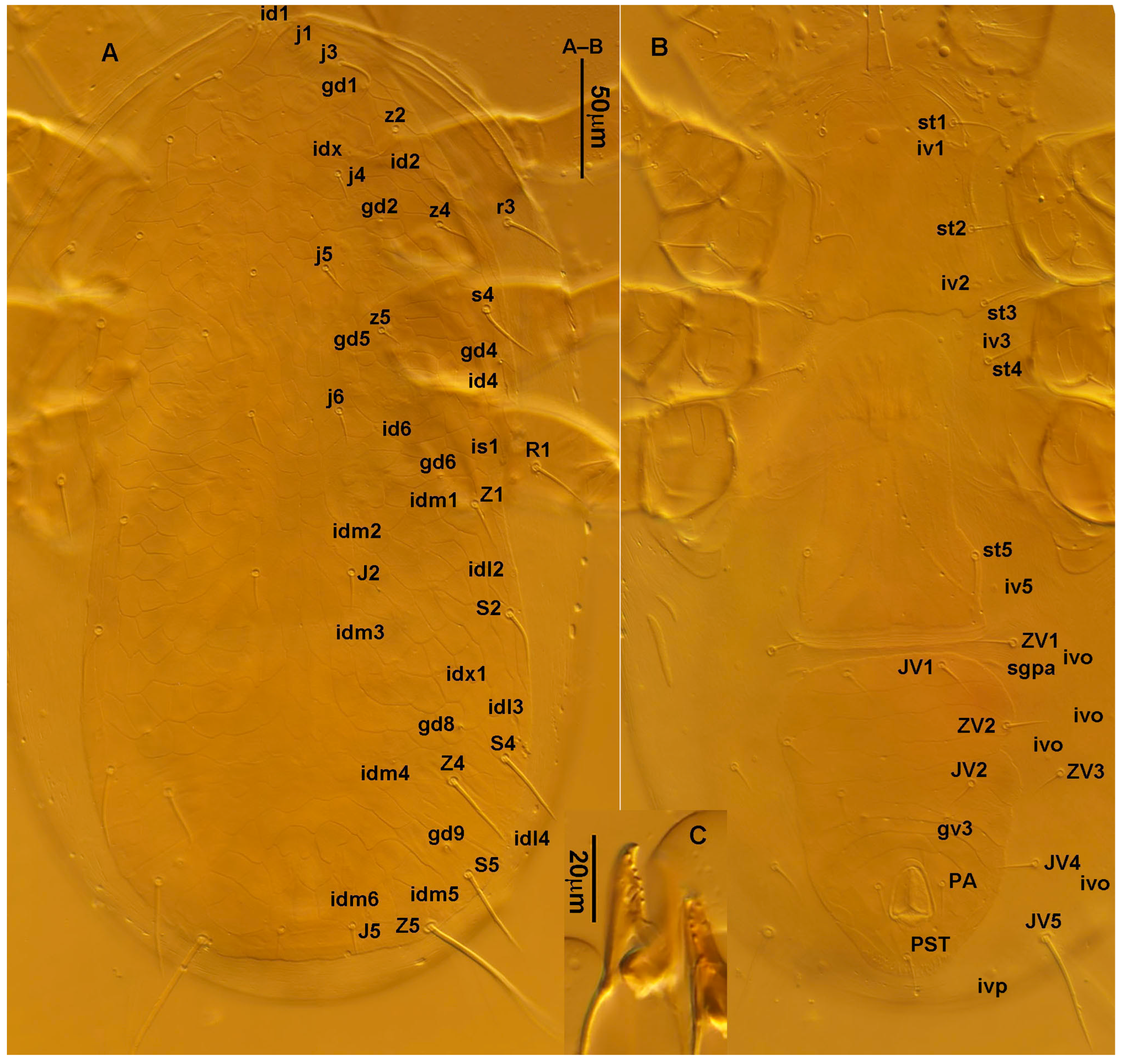 Animals 13 01478 g002 Animals 13 01478 g002