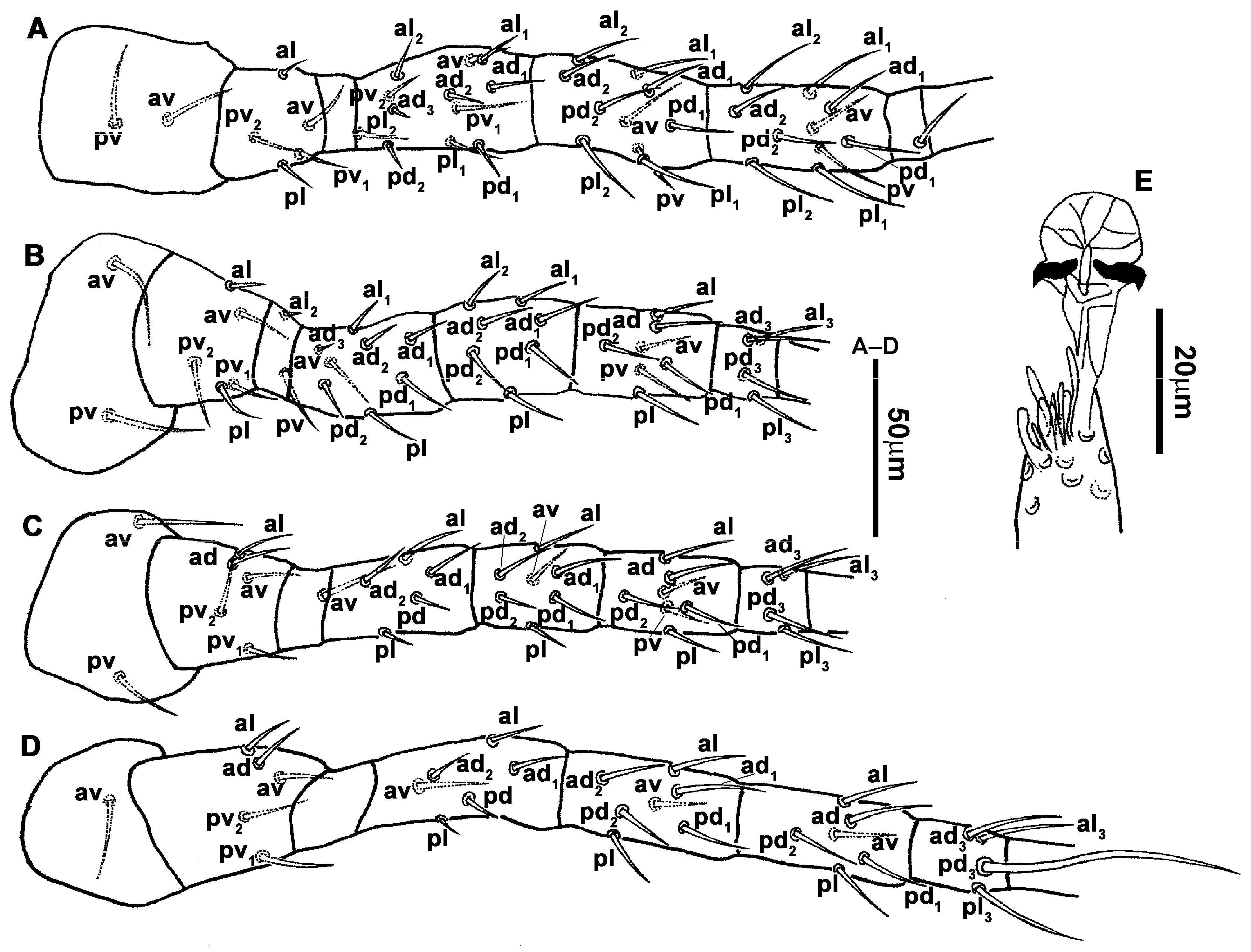 Animals 13 01478 g004 Animals 13 01478 g004