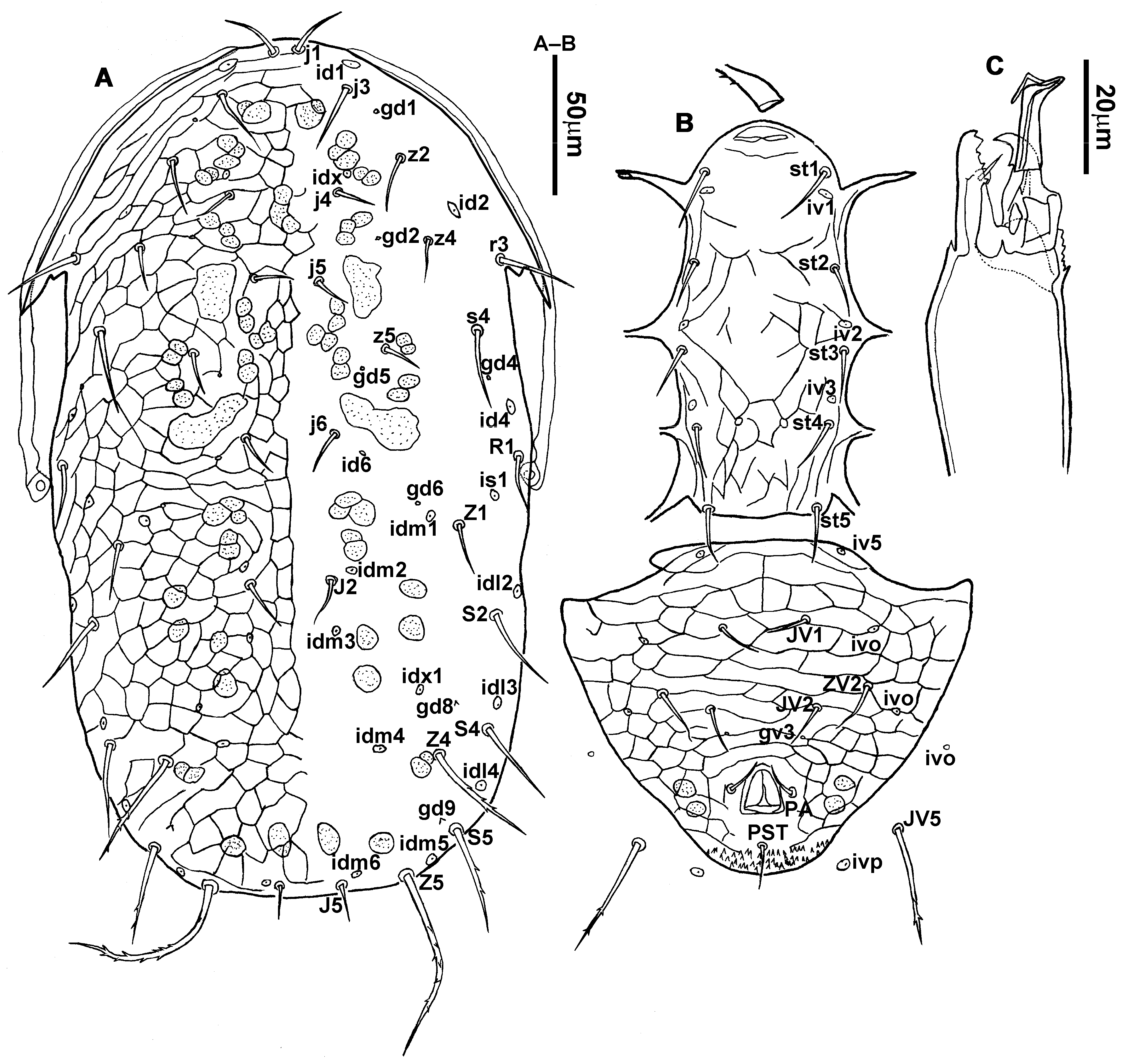 Animals 13 01478 g005 Animals 13 01478 g005
