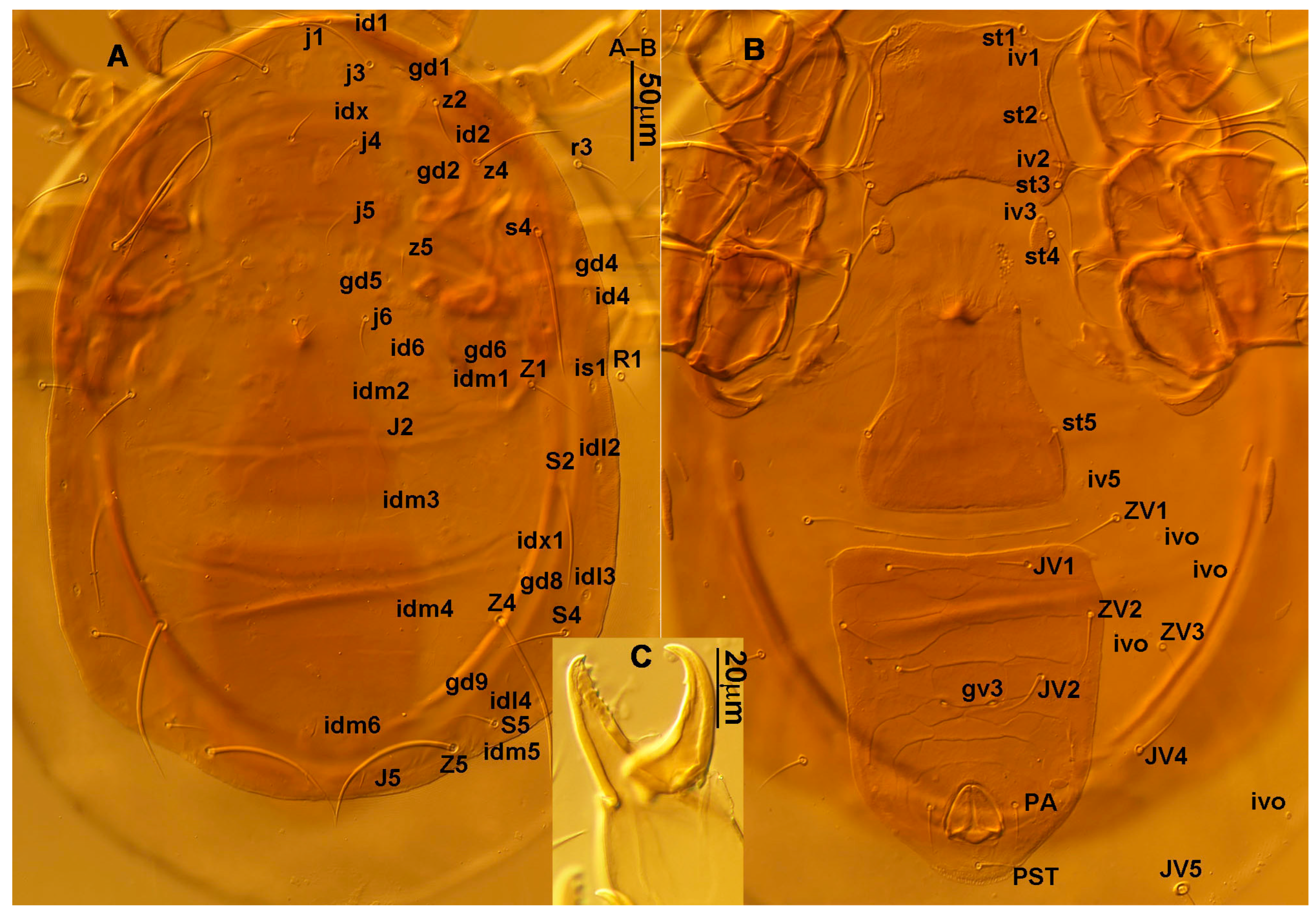 Animals 13 01478 g007 Animals 13 01478 g007