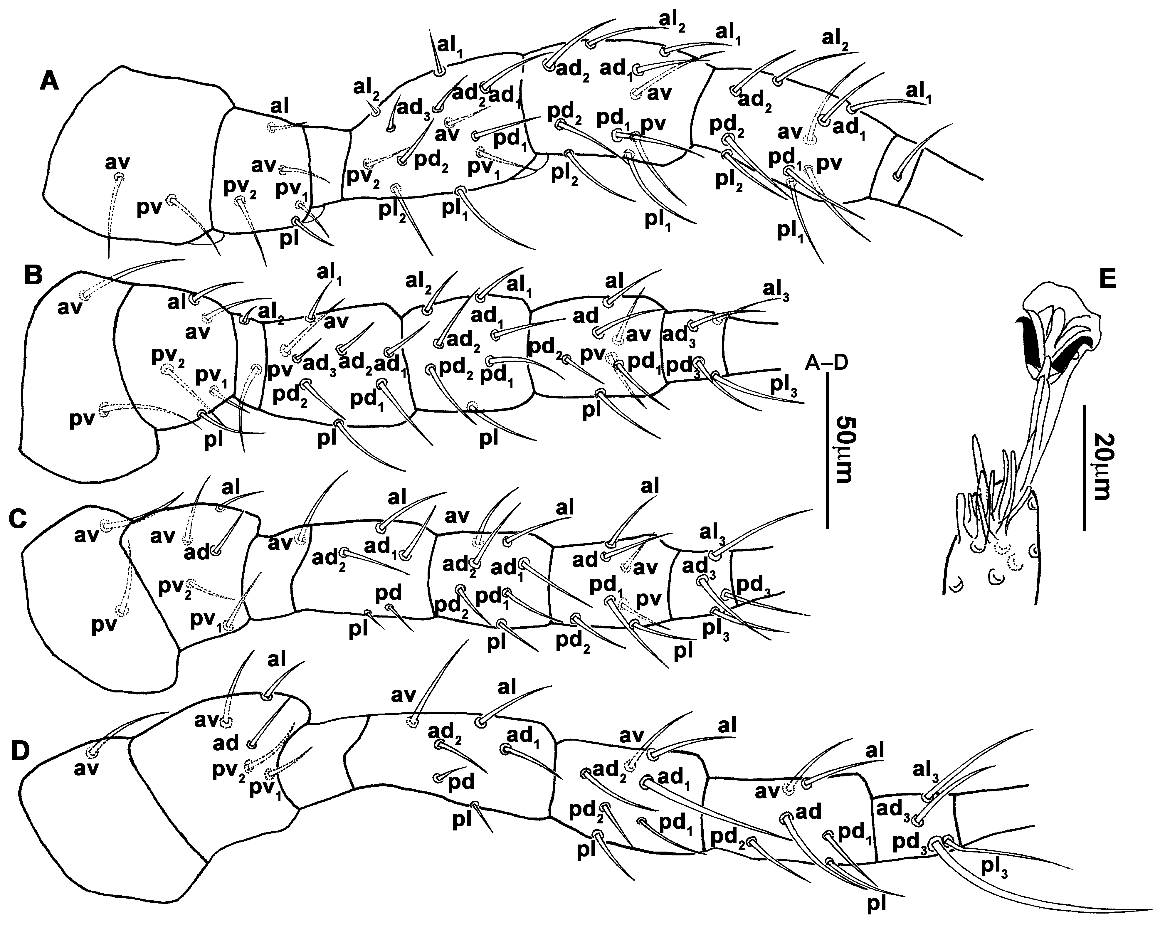 Animals 13 01478 g009 Animals 13 01478 g009