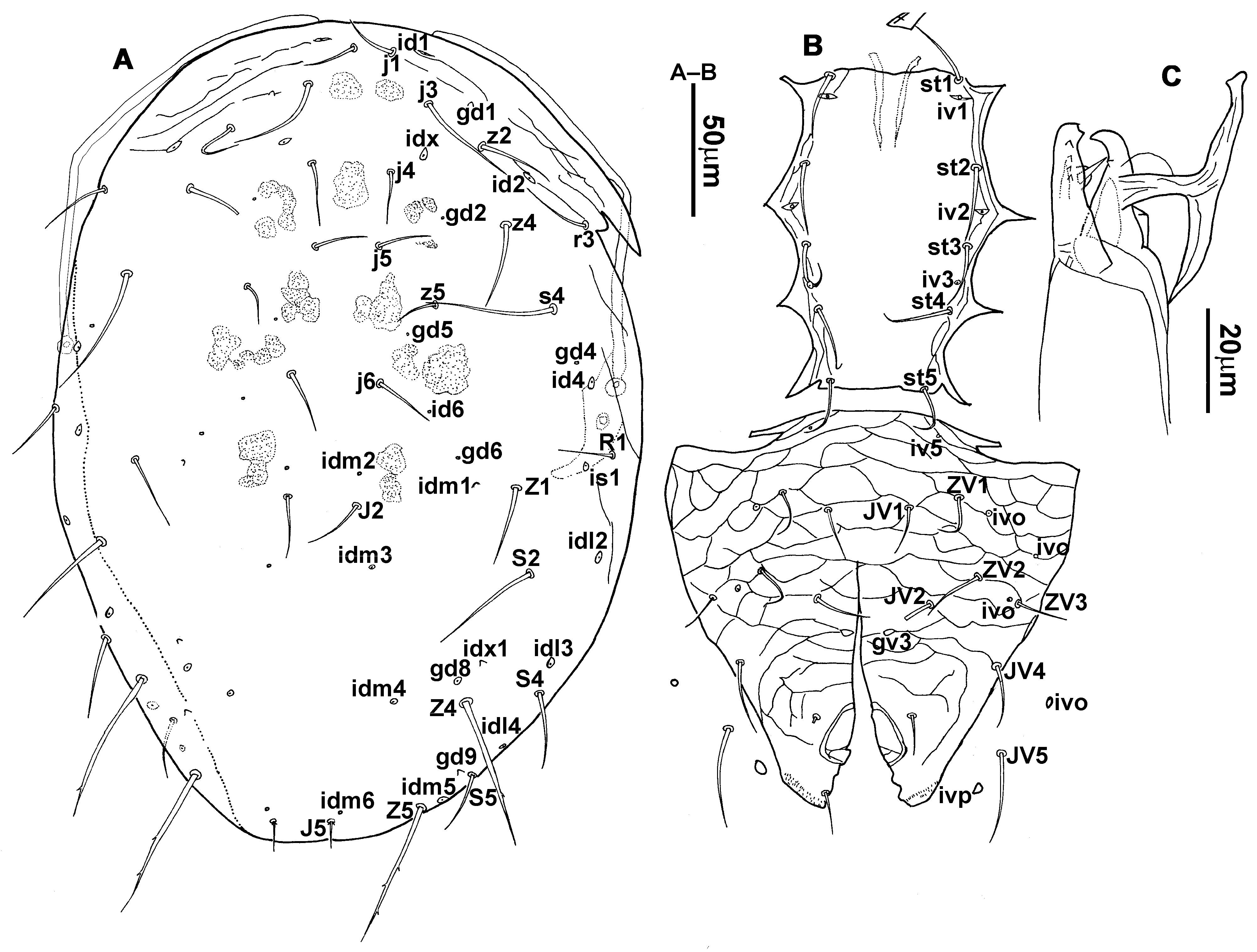 Animals 13 01478 g010 Animals 13 01478 g010