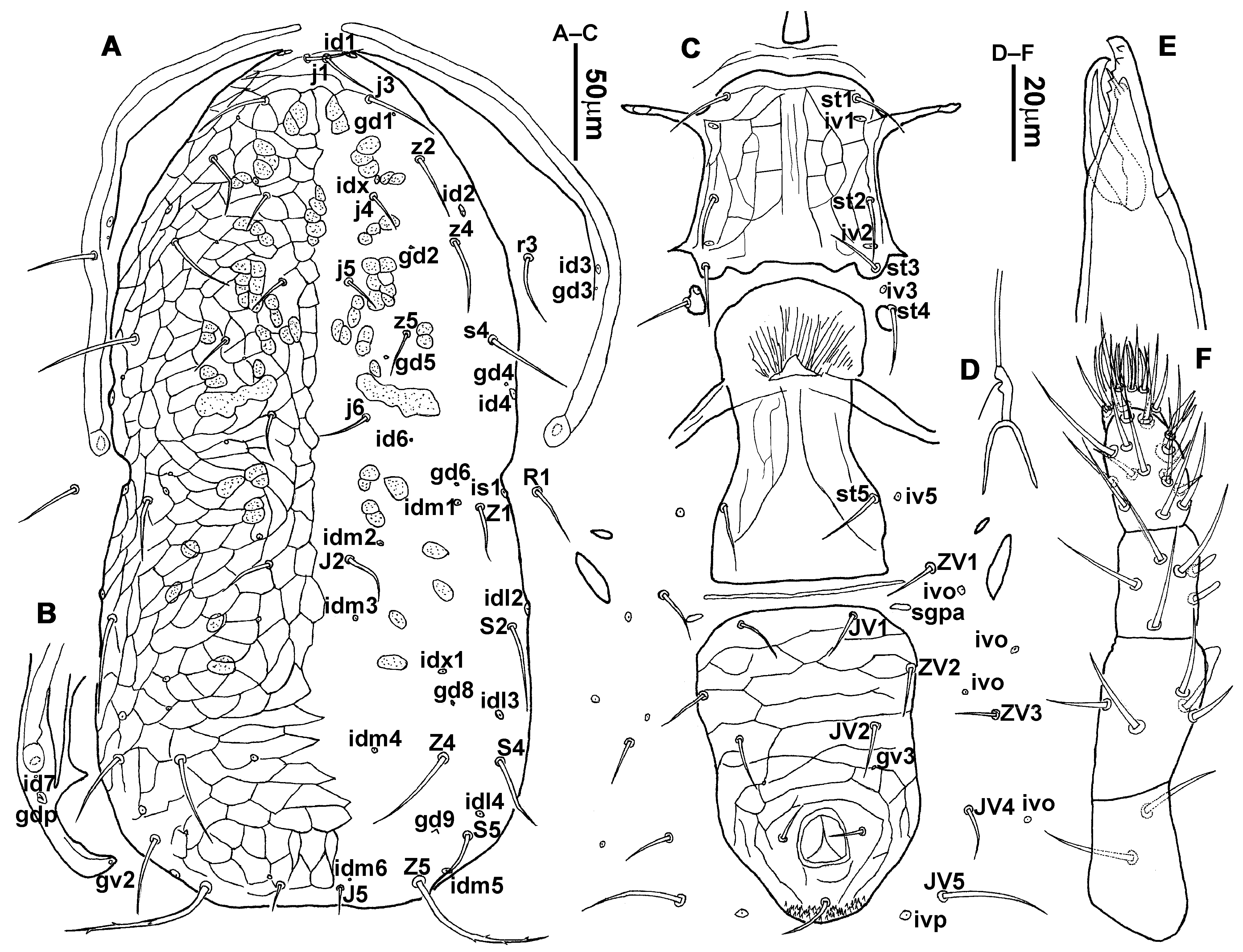 Animals 13 01478 g012 Animals 13 01478 g012