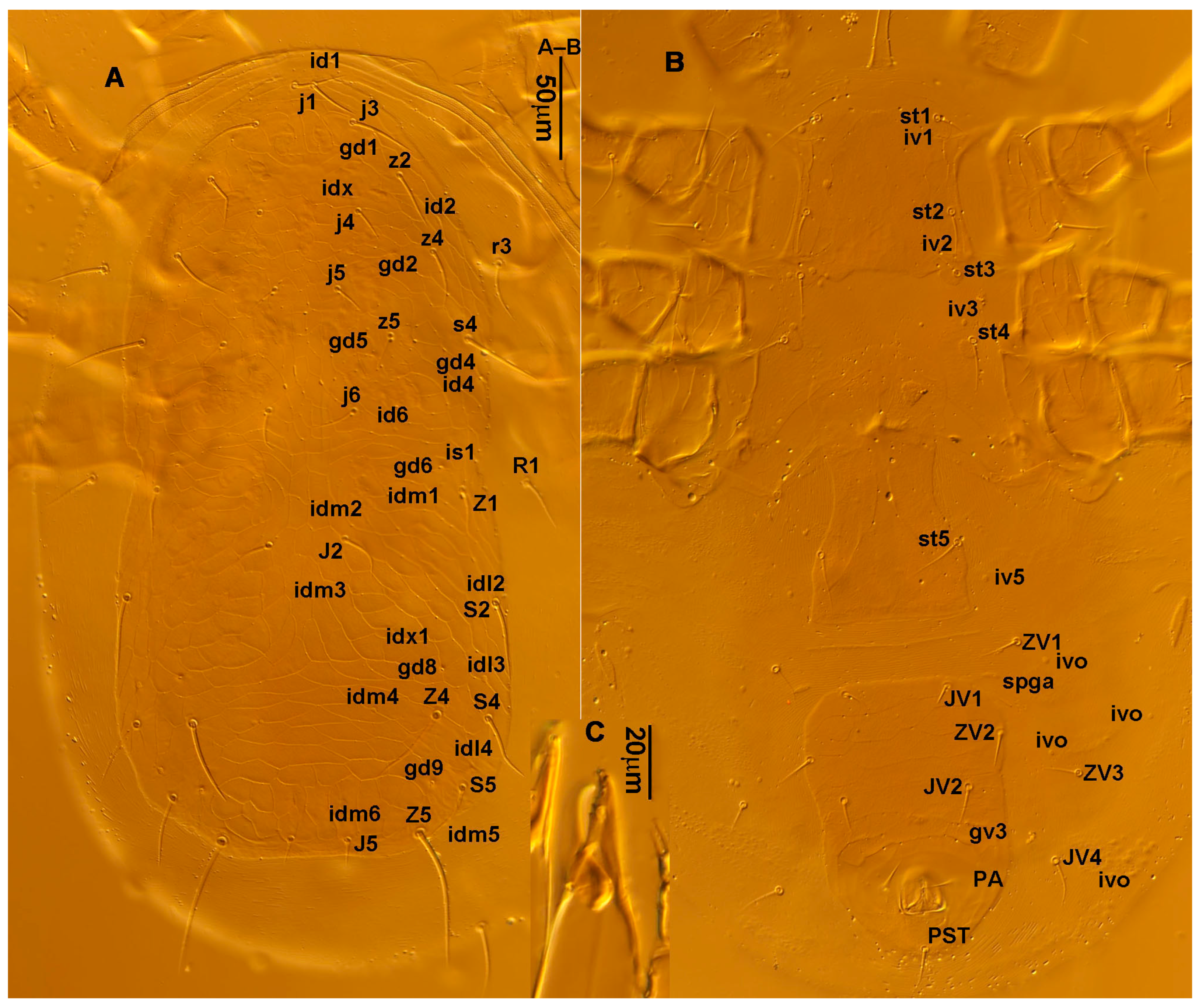 Animals 13 01478 g013 Animals 13 01478 g013