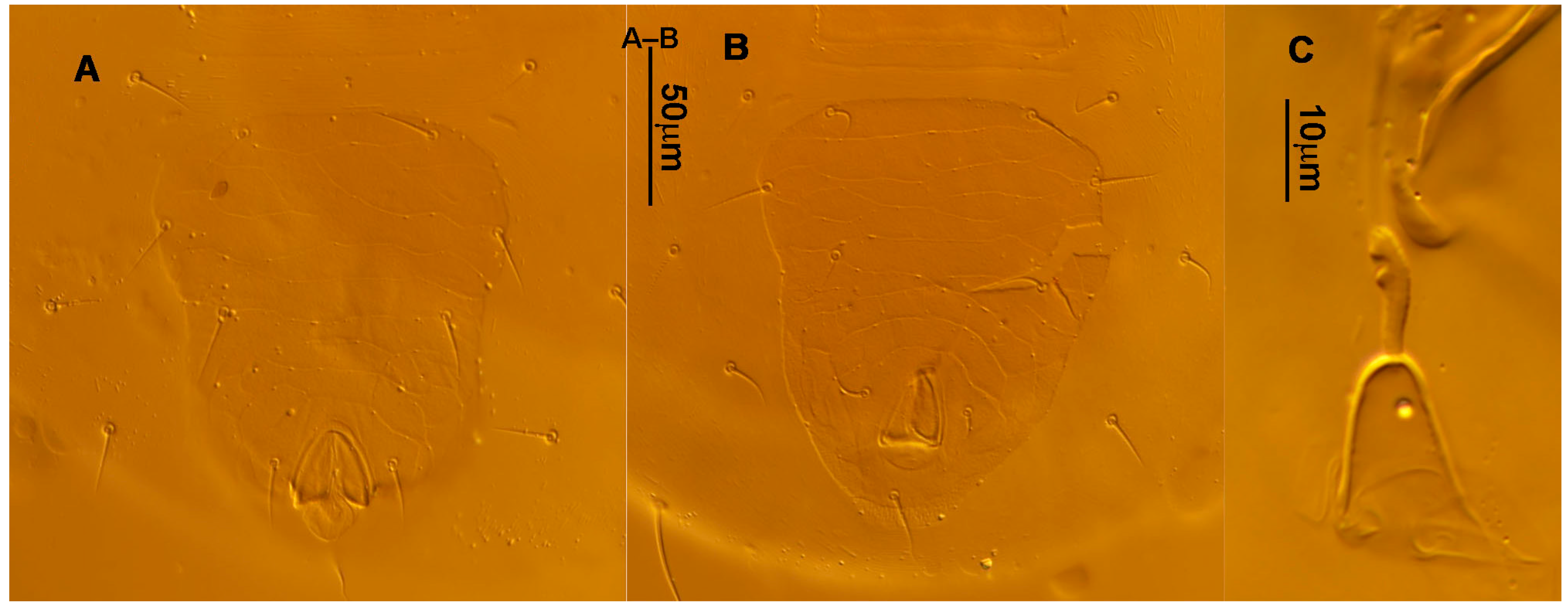 Animals 13 01478 g014 Animals 13 01478 g014