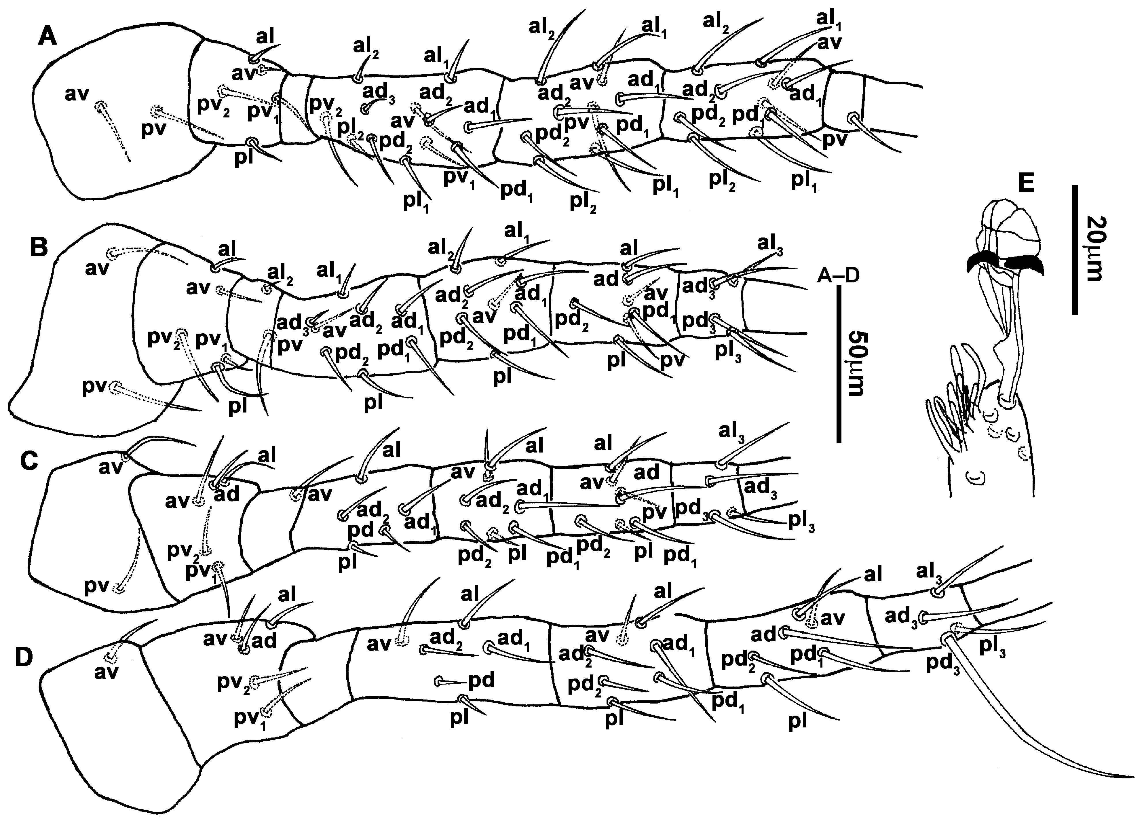 Animals 13 01478 g015 Animals 13 01478 g015