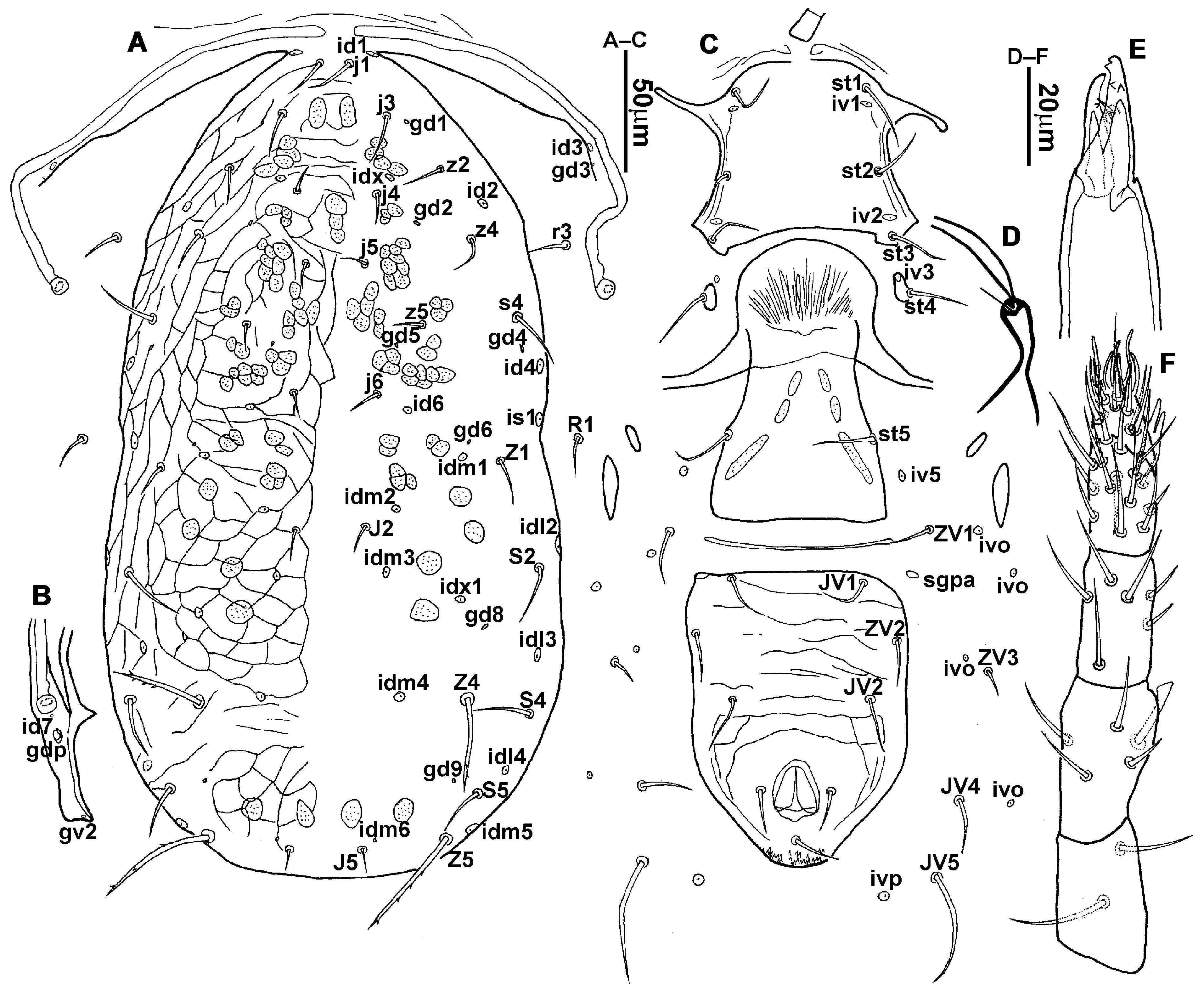 Animals 13 01478 g016 Animals 13 01478 g016