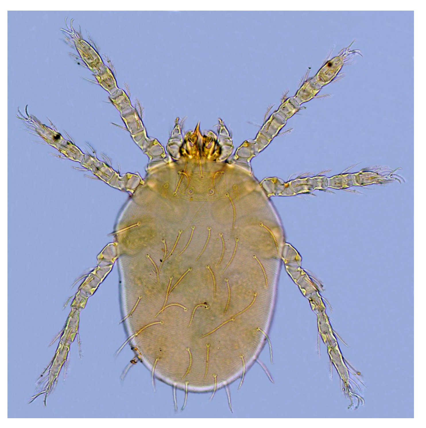 Animals 13 01480 g004