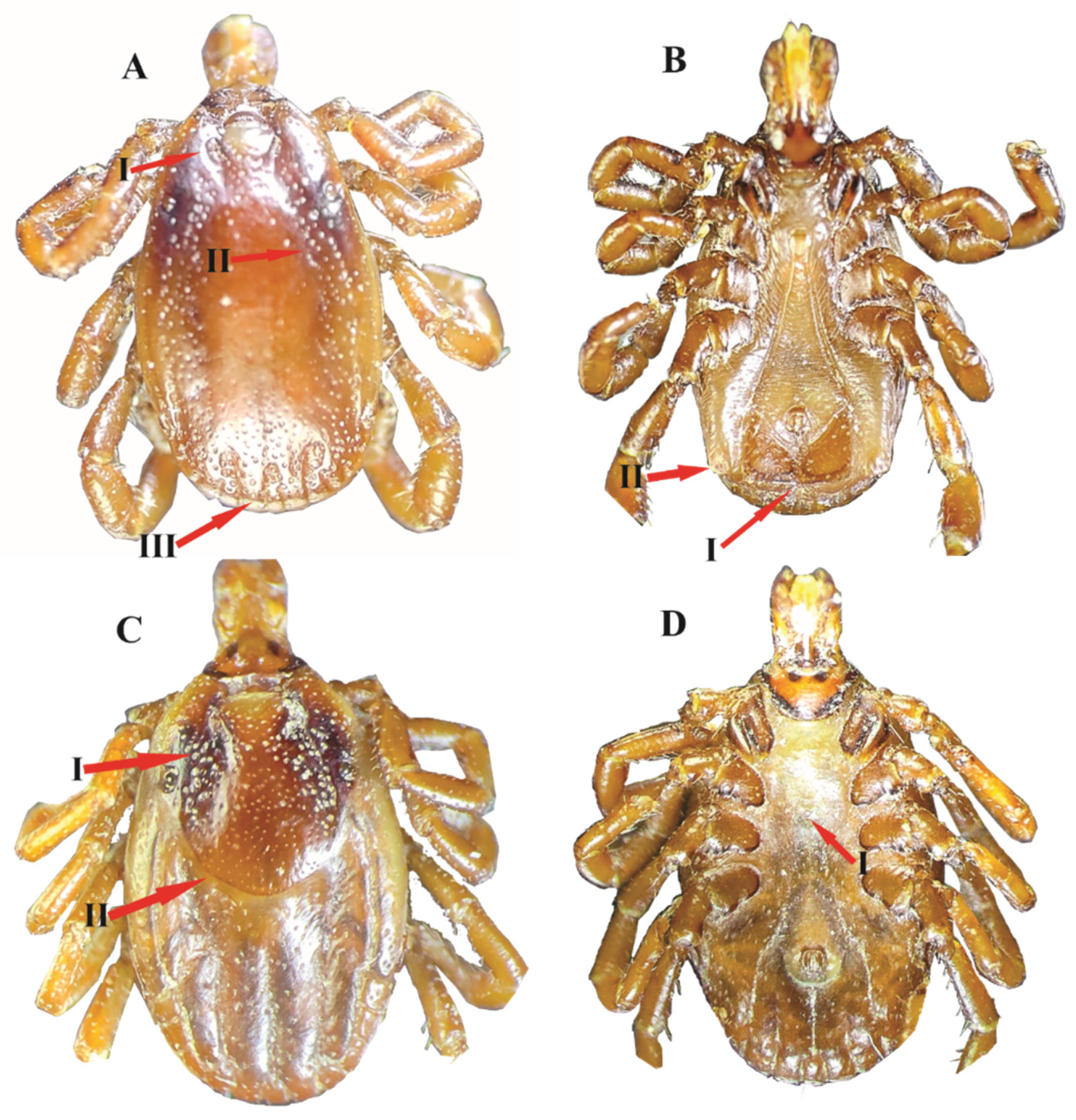 Animals 13 01488 g001 Animals 13 01488 g001