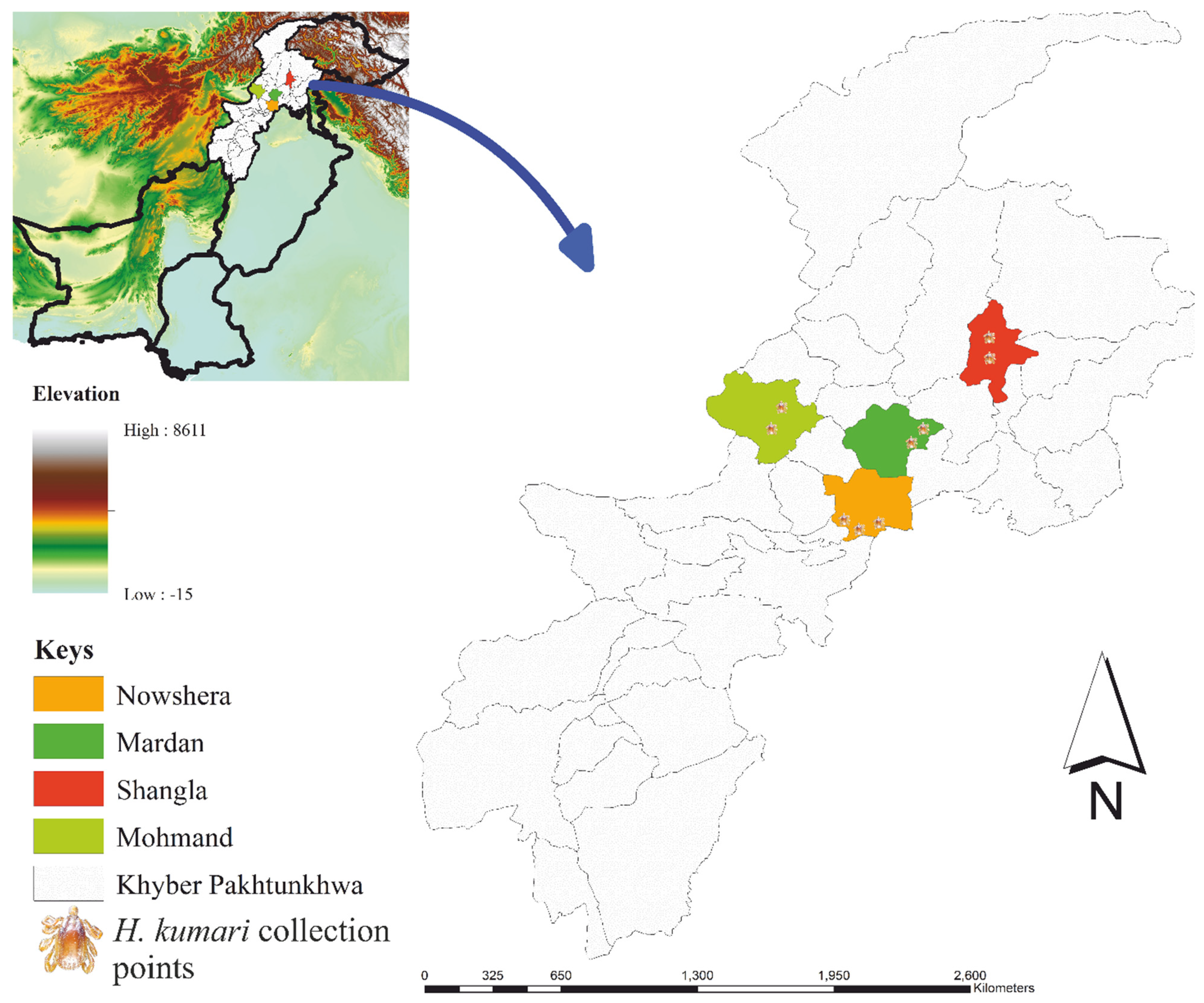 Animals 13 01488 g007 Animals 13 01488 g007