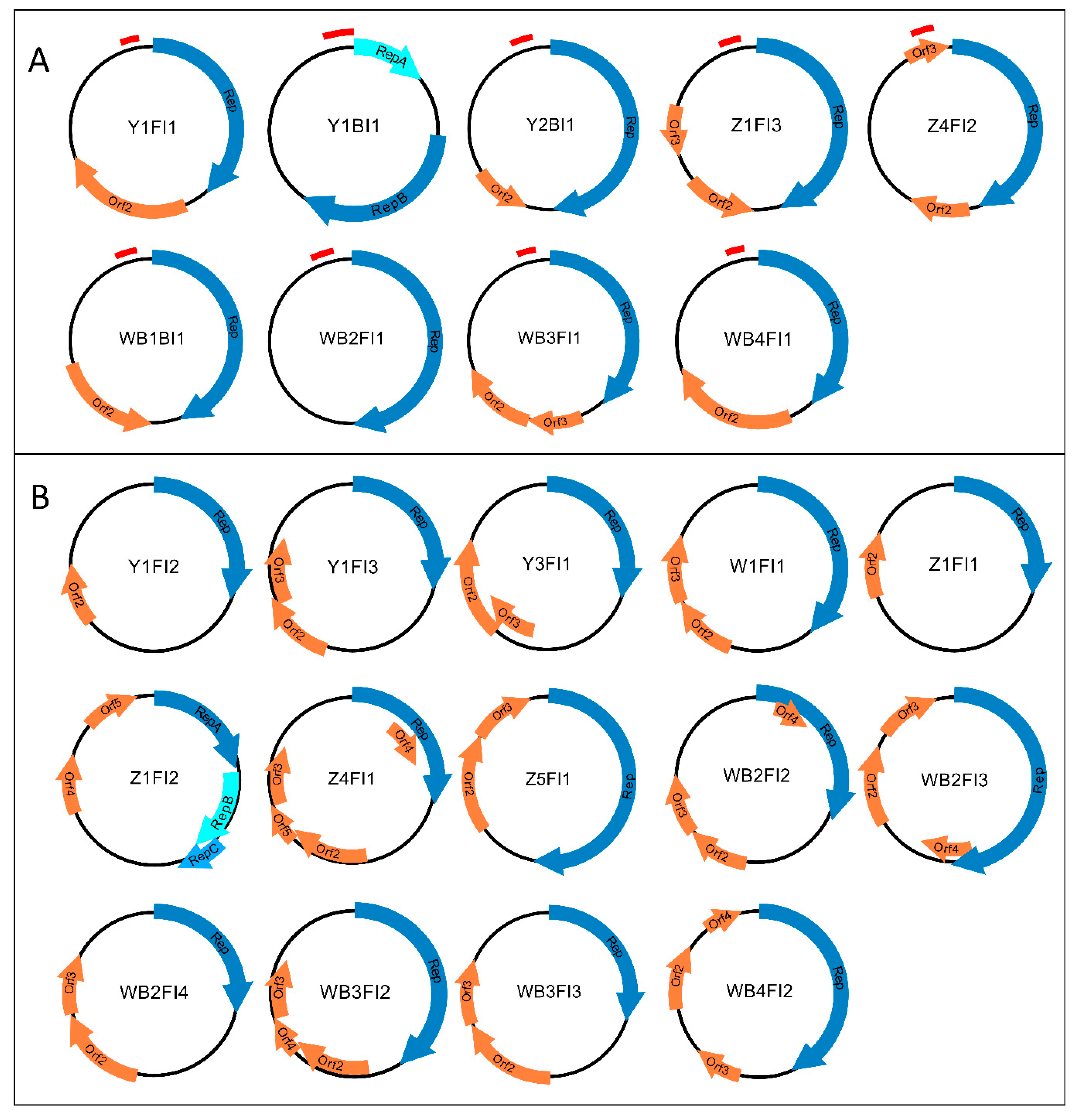 Animals 13 01492 g001 Animals 13 01492 g001