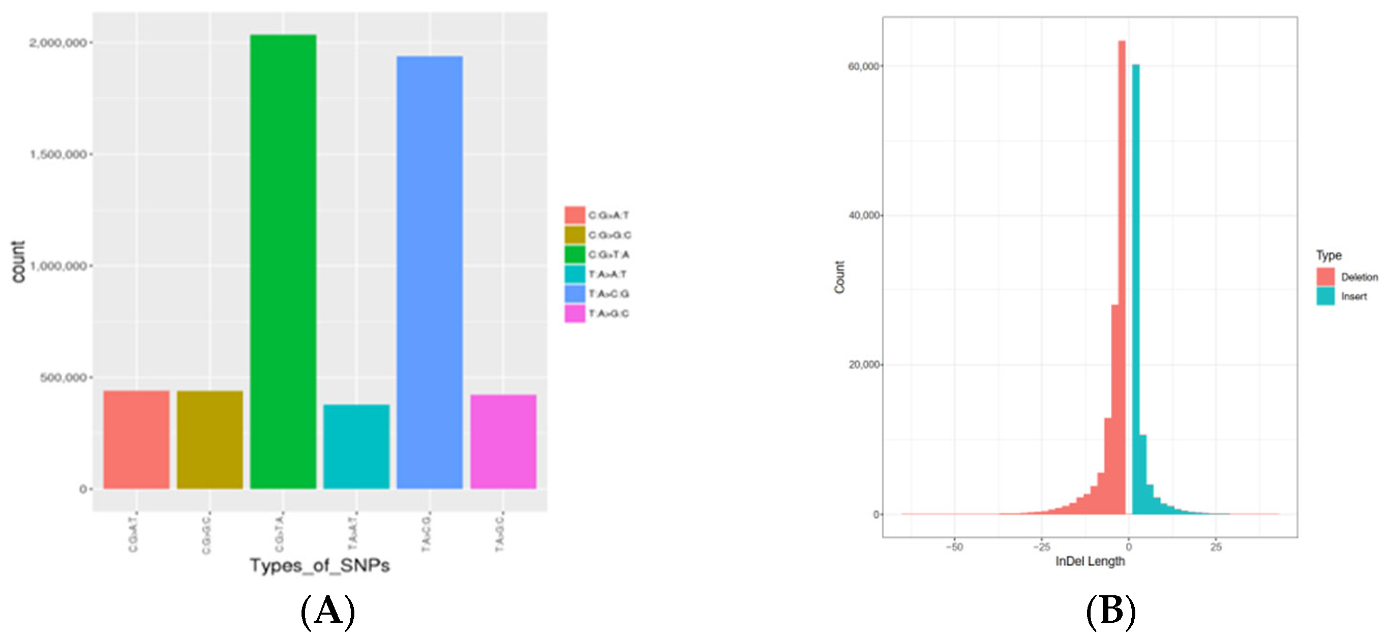 The Genetic Diversity of Mink (Neovison vison) Populations