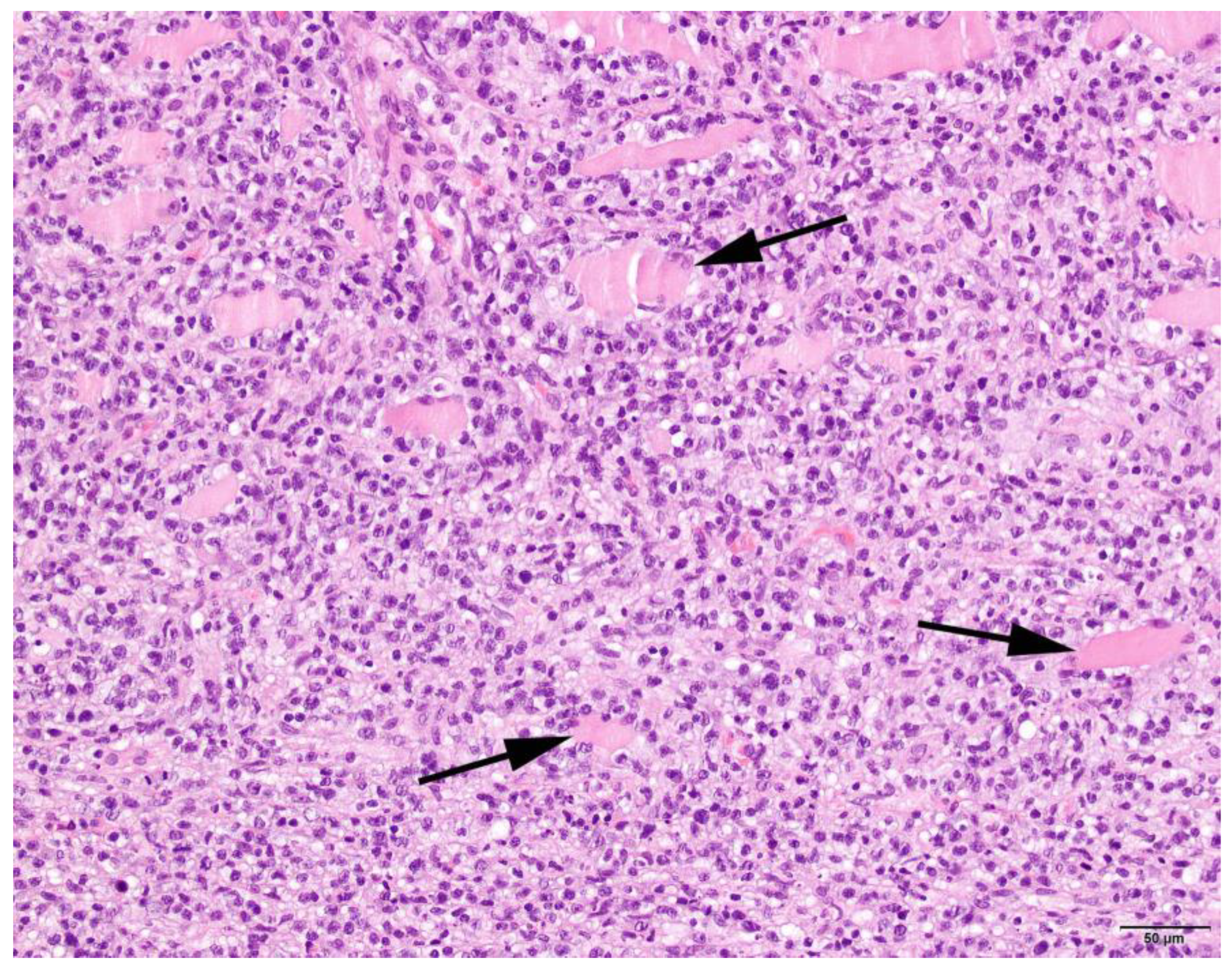 Animals 13 01508 g002 Animals 13 01508 g002