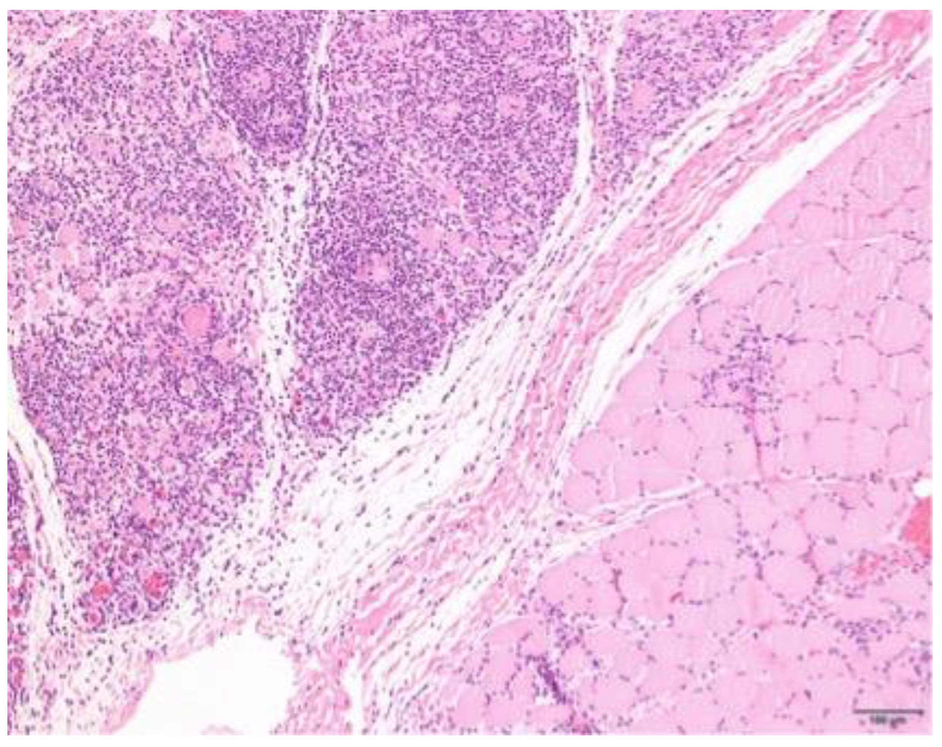 Animals 13 01508 g005 Animals 13 01508 g005