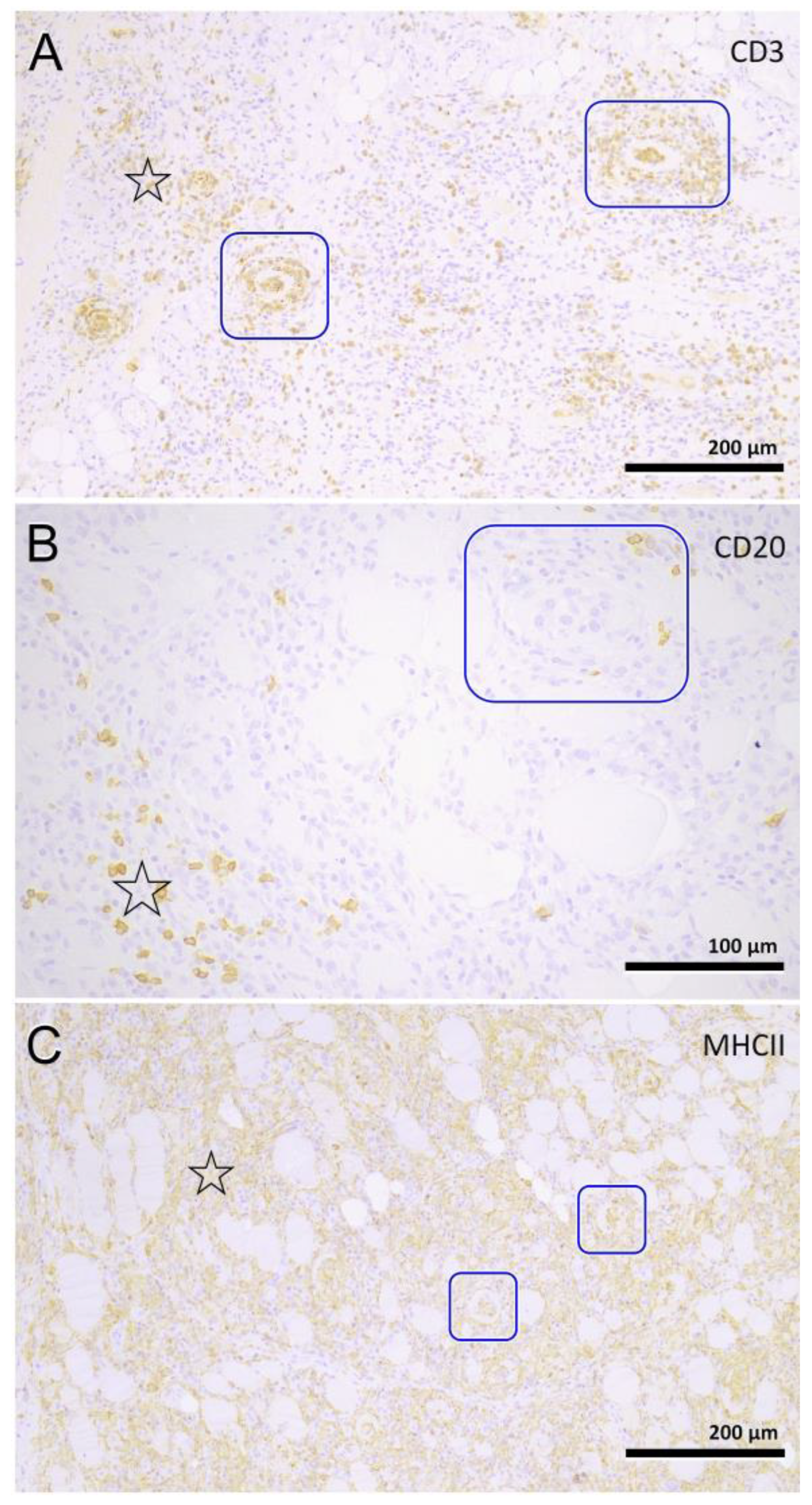 Animals 13 01508 g008 Animals 13 01508 g008