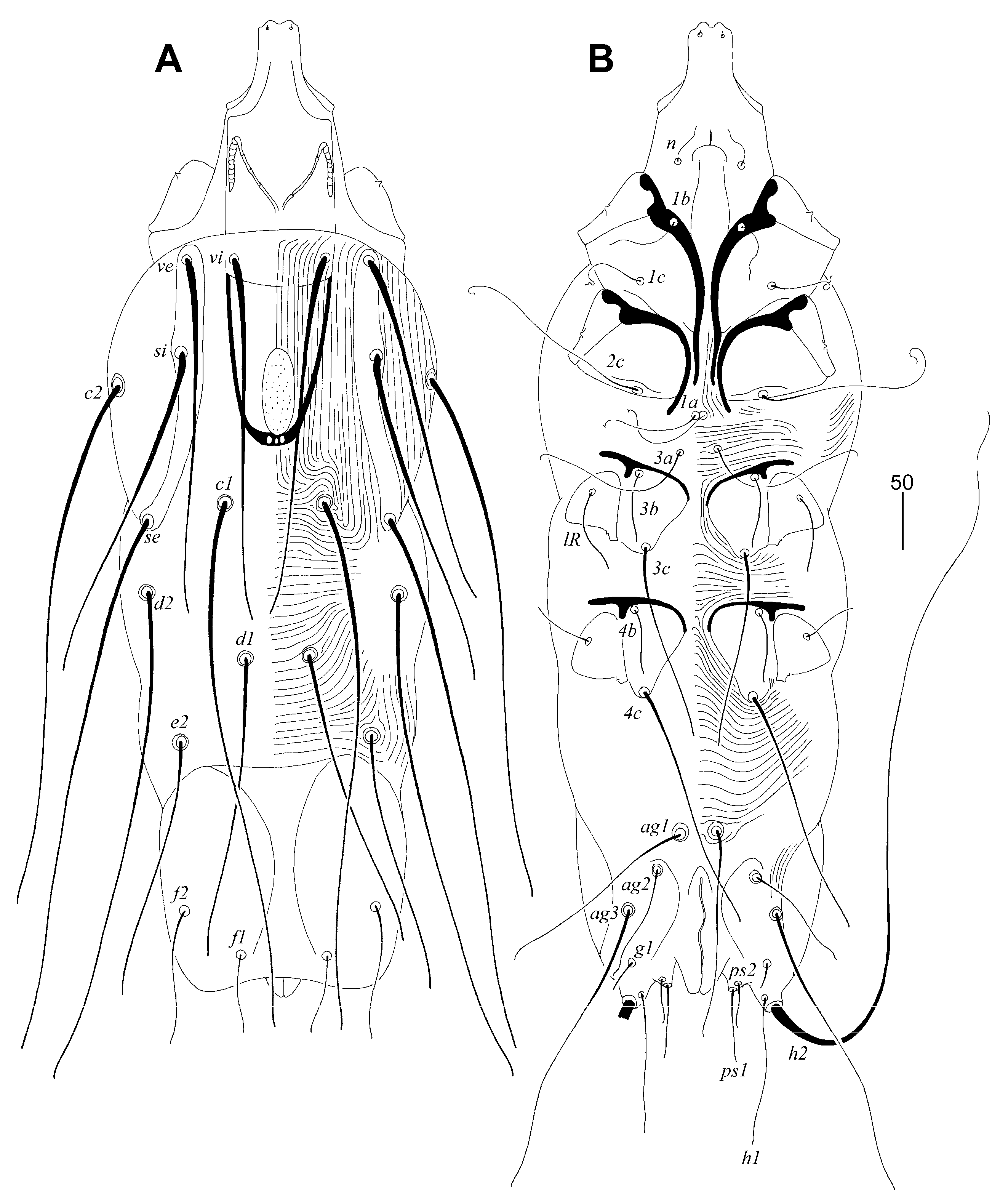 Animals 13 01509 g001 Animals 13 01509 g001