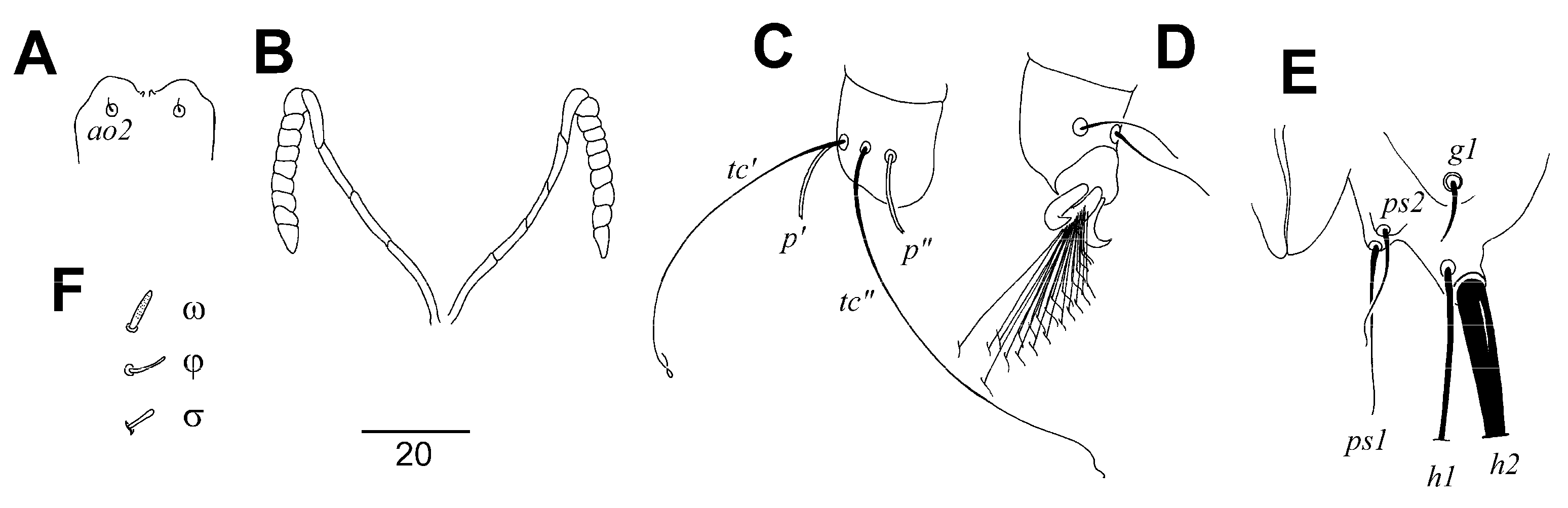 Animals 13 01509 g002 Animals 13 01509 g002