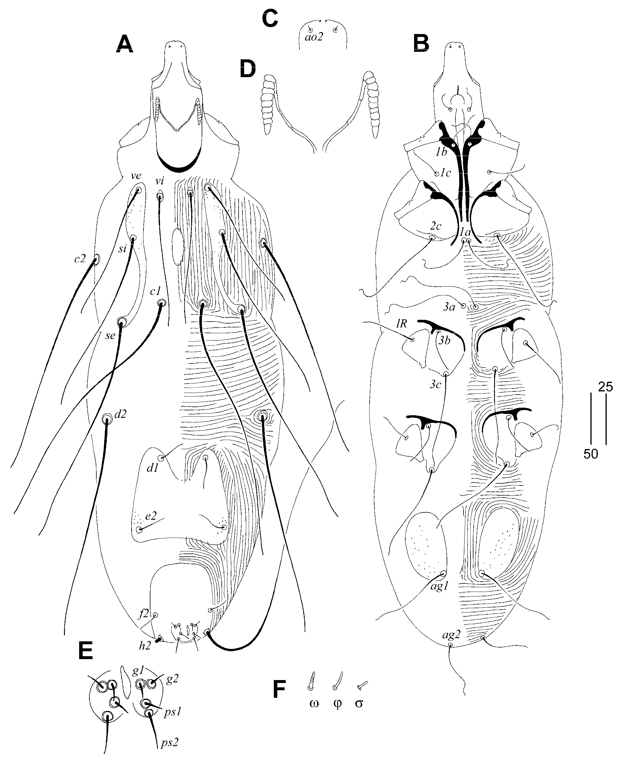 Animals 13 01509 g003 Animals 13 01509 g003