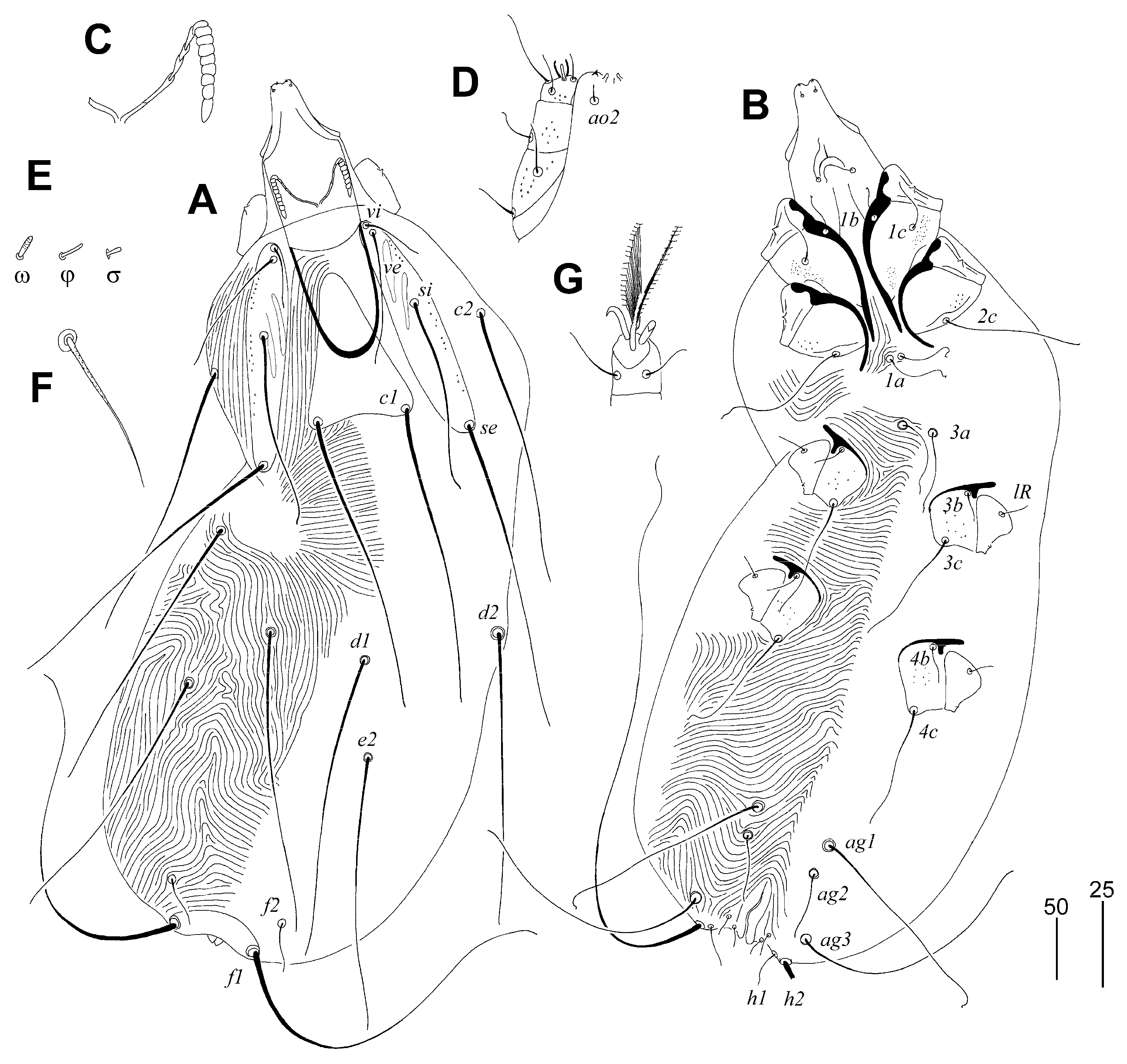 Animals 13 01509 g005 Animals 13 01509 g005