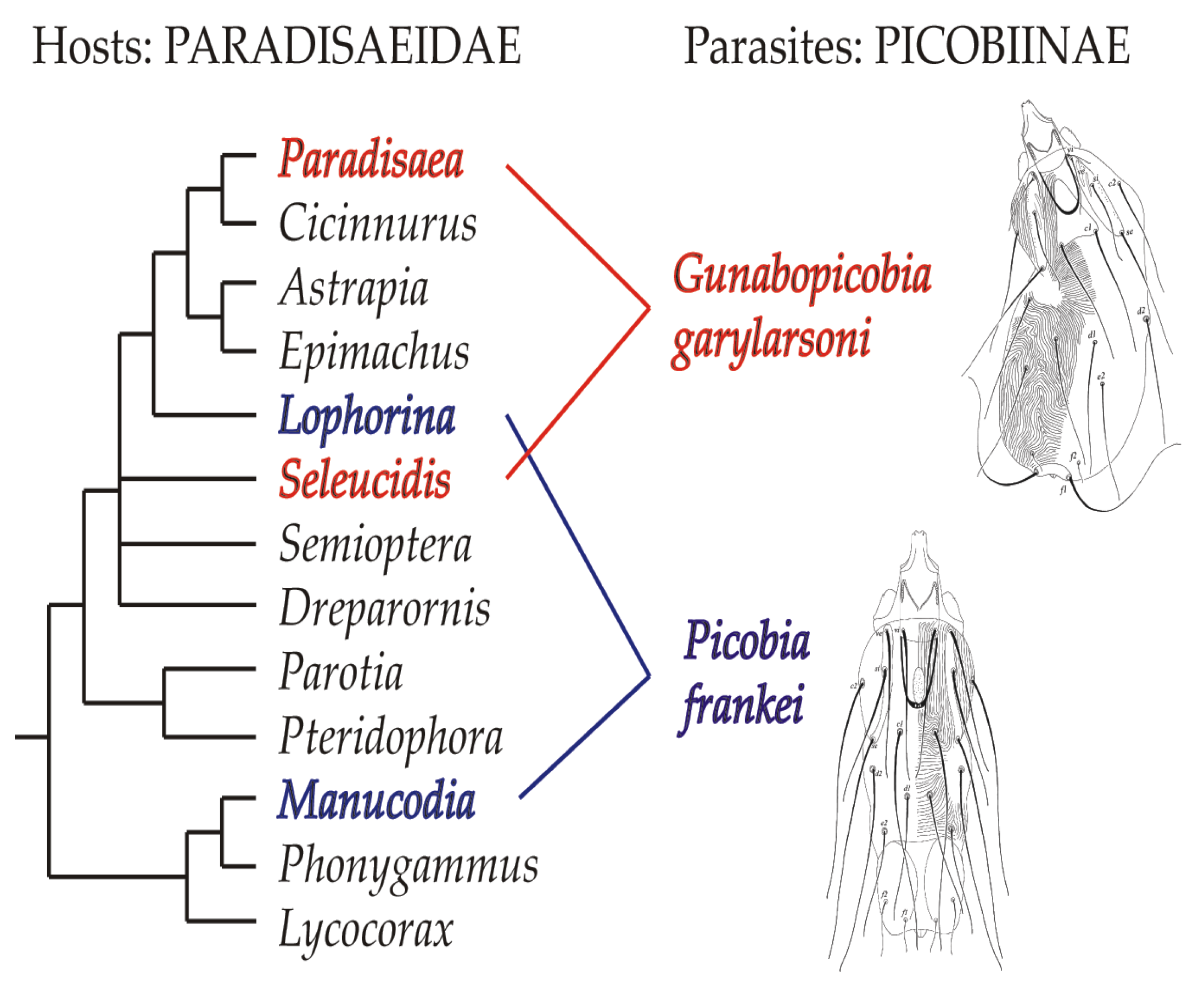 Animals 13 01509 g008 Animals 13 01509 g008